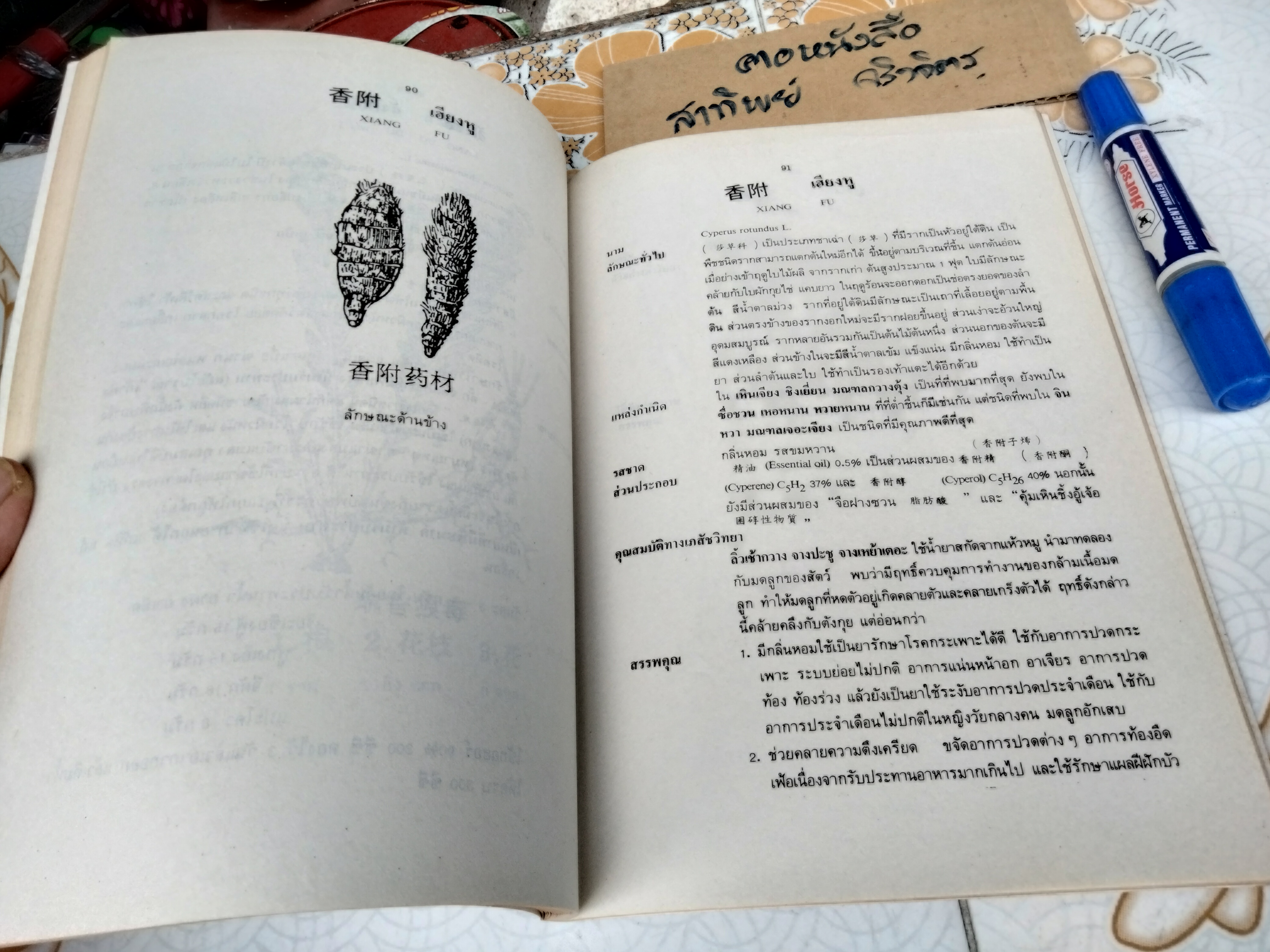 สมุนไพรจีน - รวบรวมเรียบเรียงและจัดพิมพ์ โดย นายเจนกิจ เวชพงศา **สินค้าหมด**