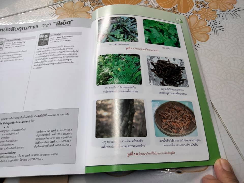 การผลิตพืชสมุนไพร - มณฑา ลิมปิยประพันธ์