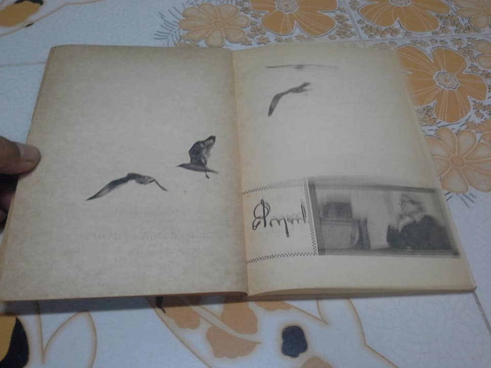 จอนะธัน ลิวิงสตัน นางนวล (Jonathan Livingston Seagull) ผลงานของ ริชาร์ด บาค, ม.ร.ว.คึกฤทธิ์ ปราโมช แปล พิมพ์ปี 2516 **สินค้าหมด**