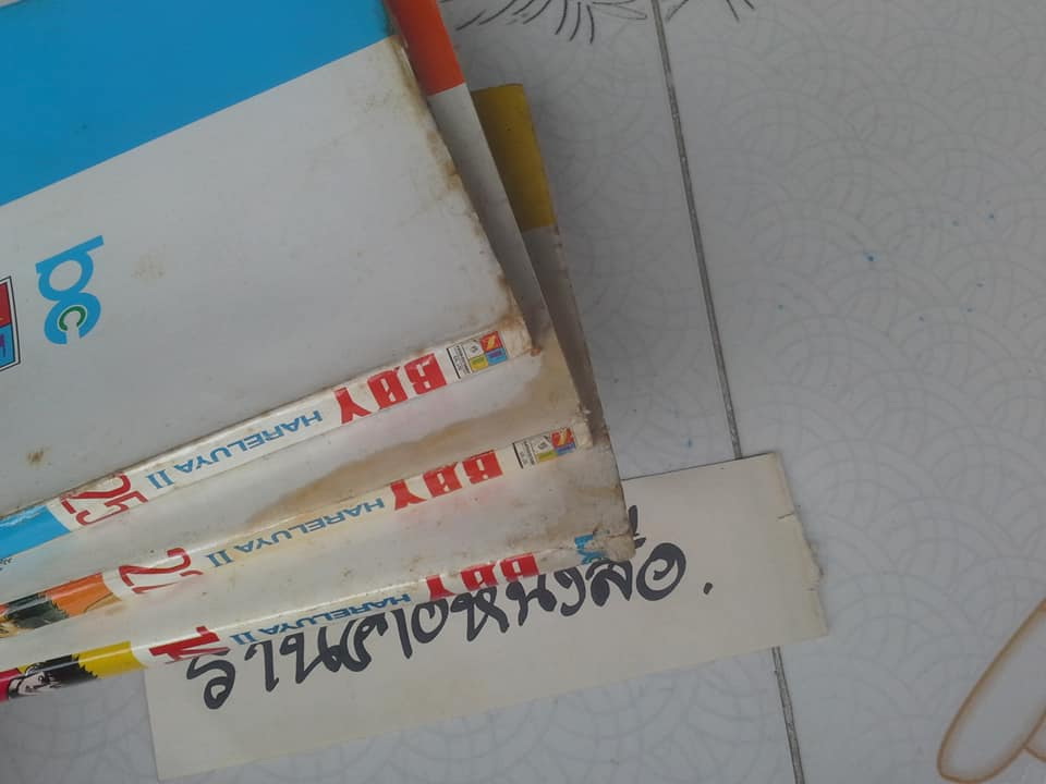 หนังสือการ์ตูน BOY HARELUYA ll 1-33 จบ ** สินค้าหมด**