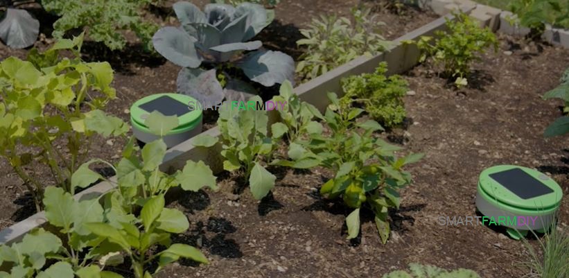 หุ่นยนต์กำจัดวัชพืช Weeds Robot Tertill Garden
