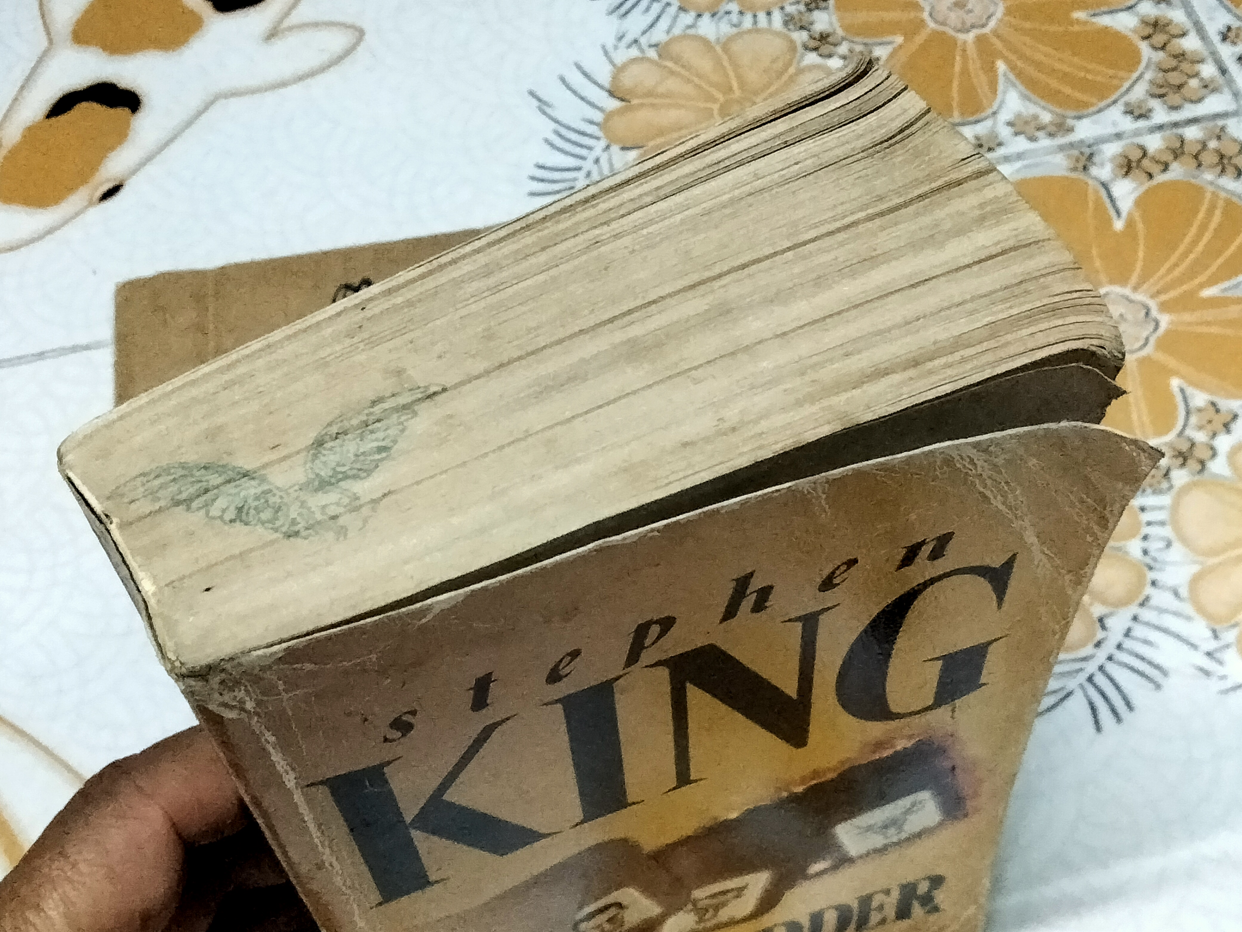 โรสแมดเดอร์ (Rose Madder) Stephen King เขียน - สุวิทย์ ขาวปลอด แปล **สินค้าหมด**