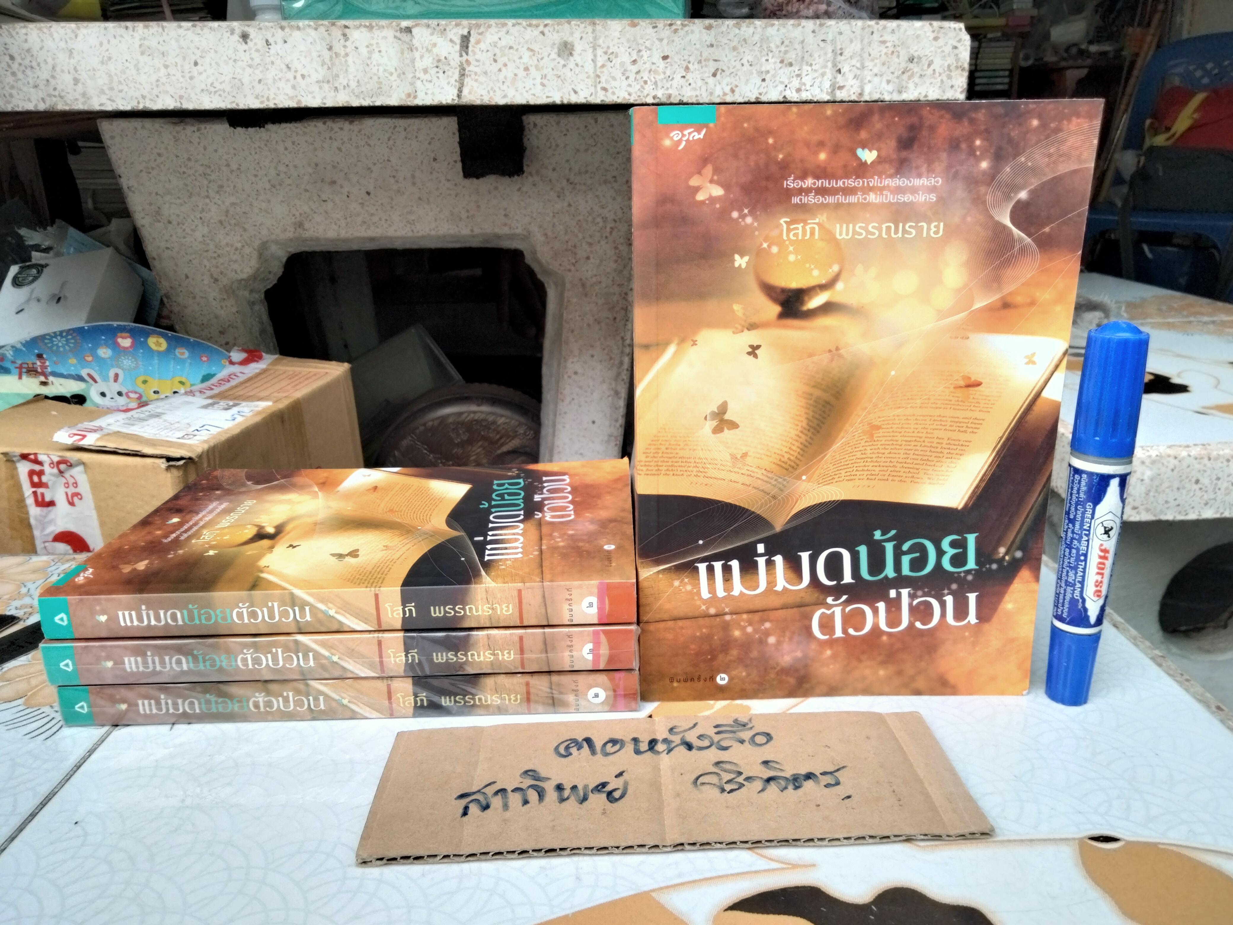 แม่มดน้อยตัวป่วน โดย โสภี พรรณราย **สินค้าหมด**