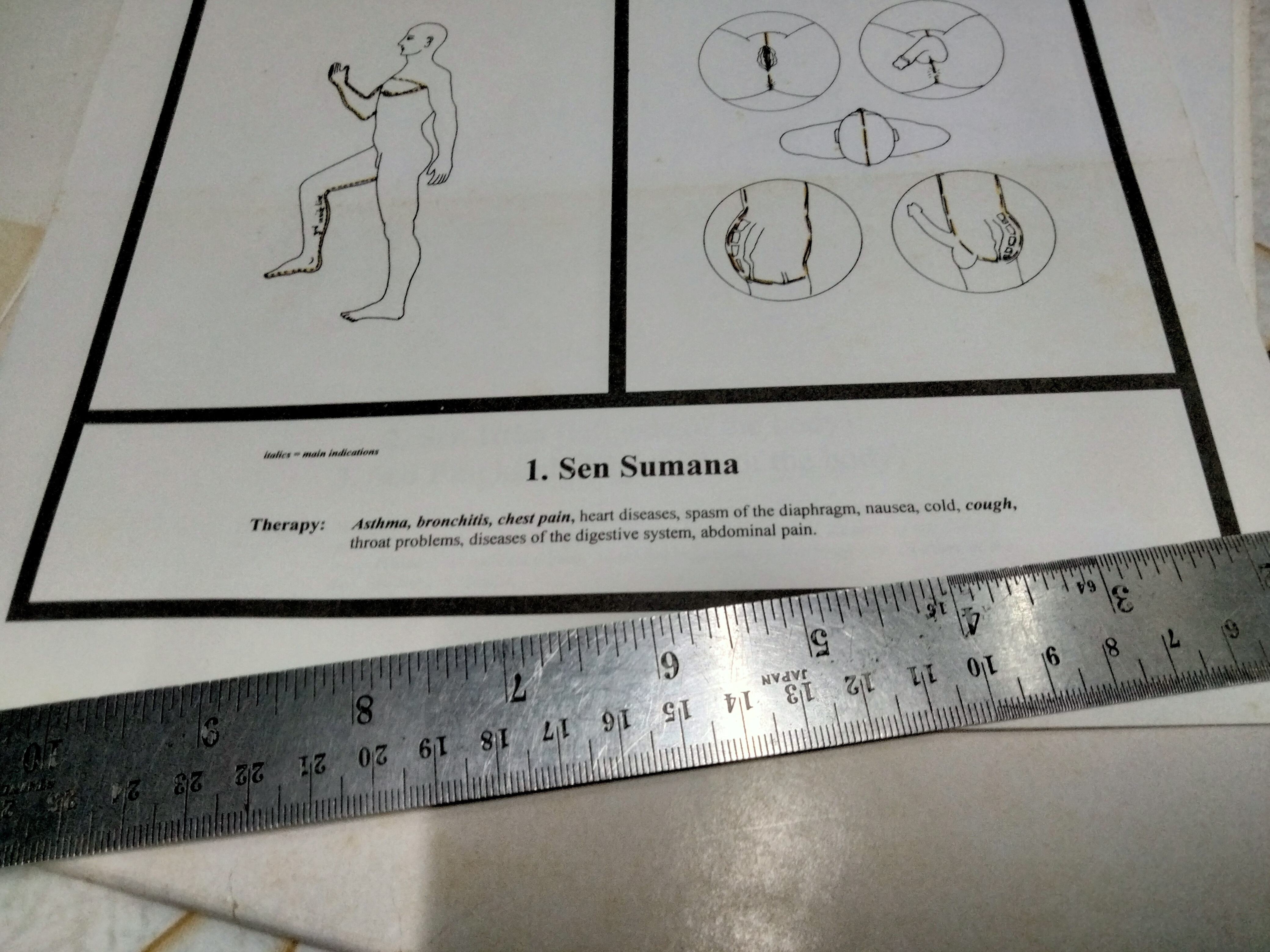 ชาร์ทตำแหน่งพลังศักย์ของการนวดแผนโบราณ The art of traditional Thai massage energy line charts - Asokananda **สินค้าหมด**