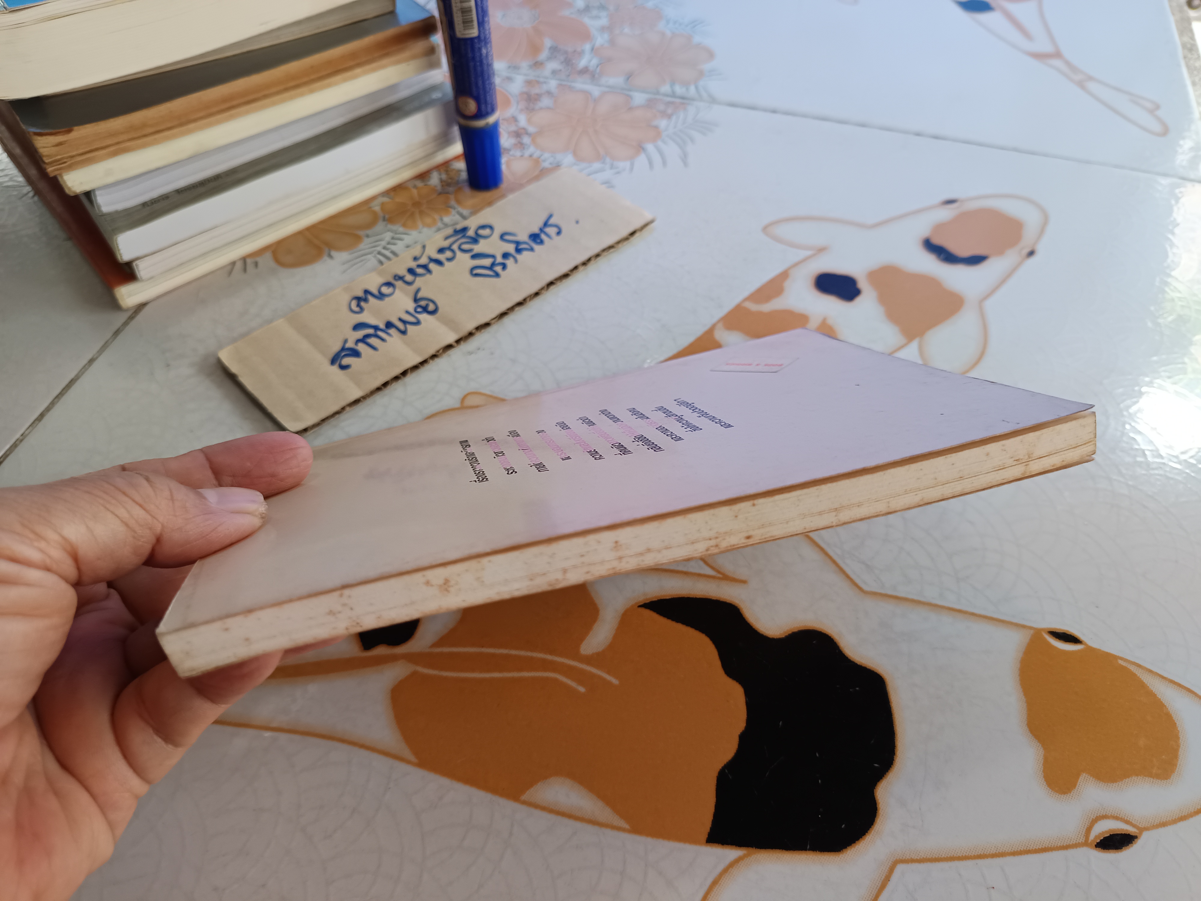 รักต่างสี (เรื่องสั้นนักเขียนรางวัลโนเบล 1991) นาดีน กอร์ดีเมอร์ เขียน จิตราภรณ์ วนัสพงศ์ แปล พิมพ์ครั้งแรก 2538