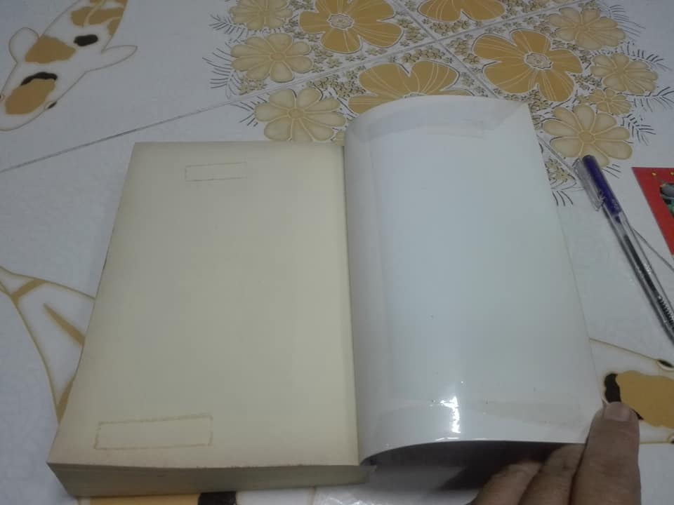 ฟ้ากระจ่างดาว (เล่มเดียวจบ) โดย กิ่งฉัตร