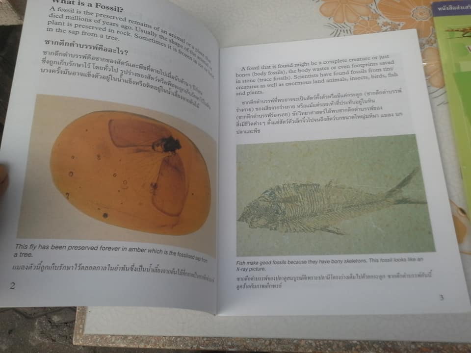 หนังสือส่งเสริมการเรียนรู้ธรรมชาติ ชุด Nature Library แปลและเรียบเรียง โดย ศ.ดร.กฤษณา ชุติมา (ขายรวม 2 เล่ม) **สินค้าหมด**