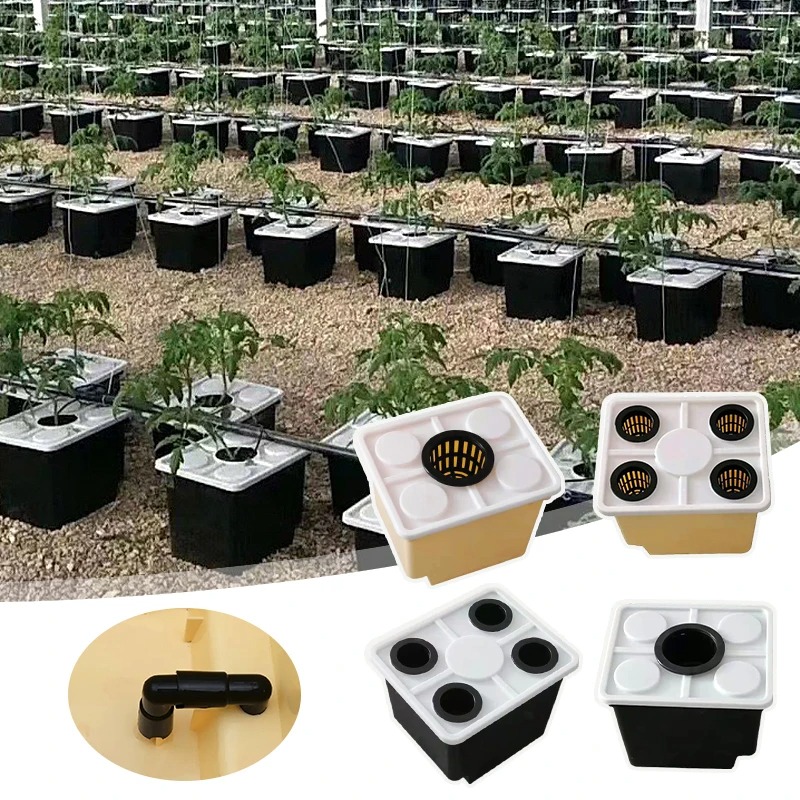 ถังปลูกไฮโดร dutch bucket 1 รูใหญ่ สีครีม