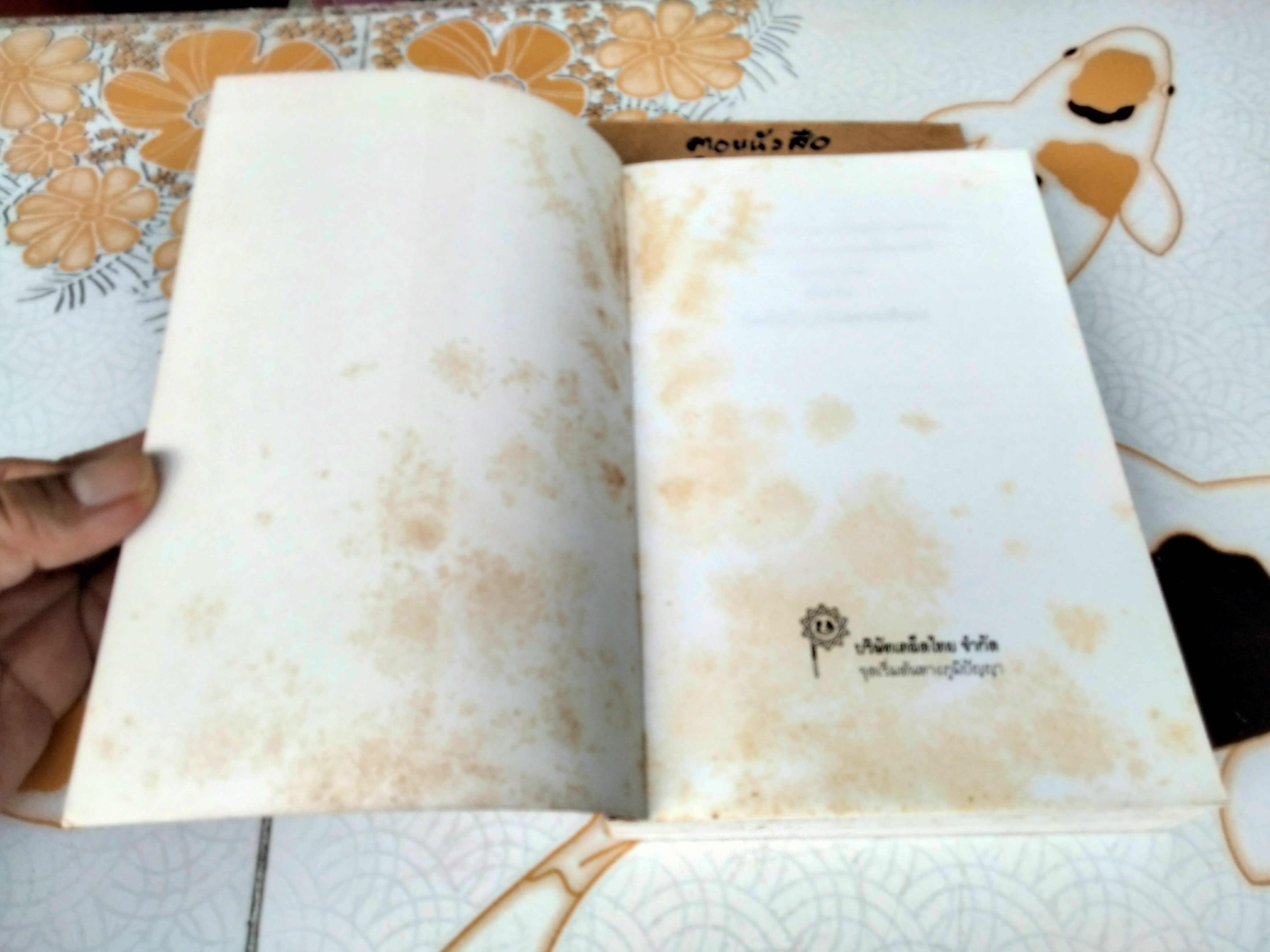 ความเป็นมาของคำสยาม ไทย ลาว และขอม และลักษณะทางสังคมของชื่อชนชาติ ฉบับสมบูรณ์ โดย จิตร ภูมิศักดิ์ (พิมพ์ 4/2540) **สินค้าหมด**