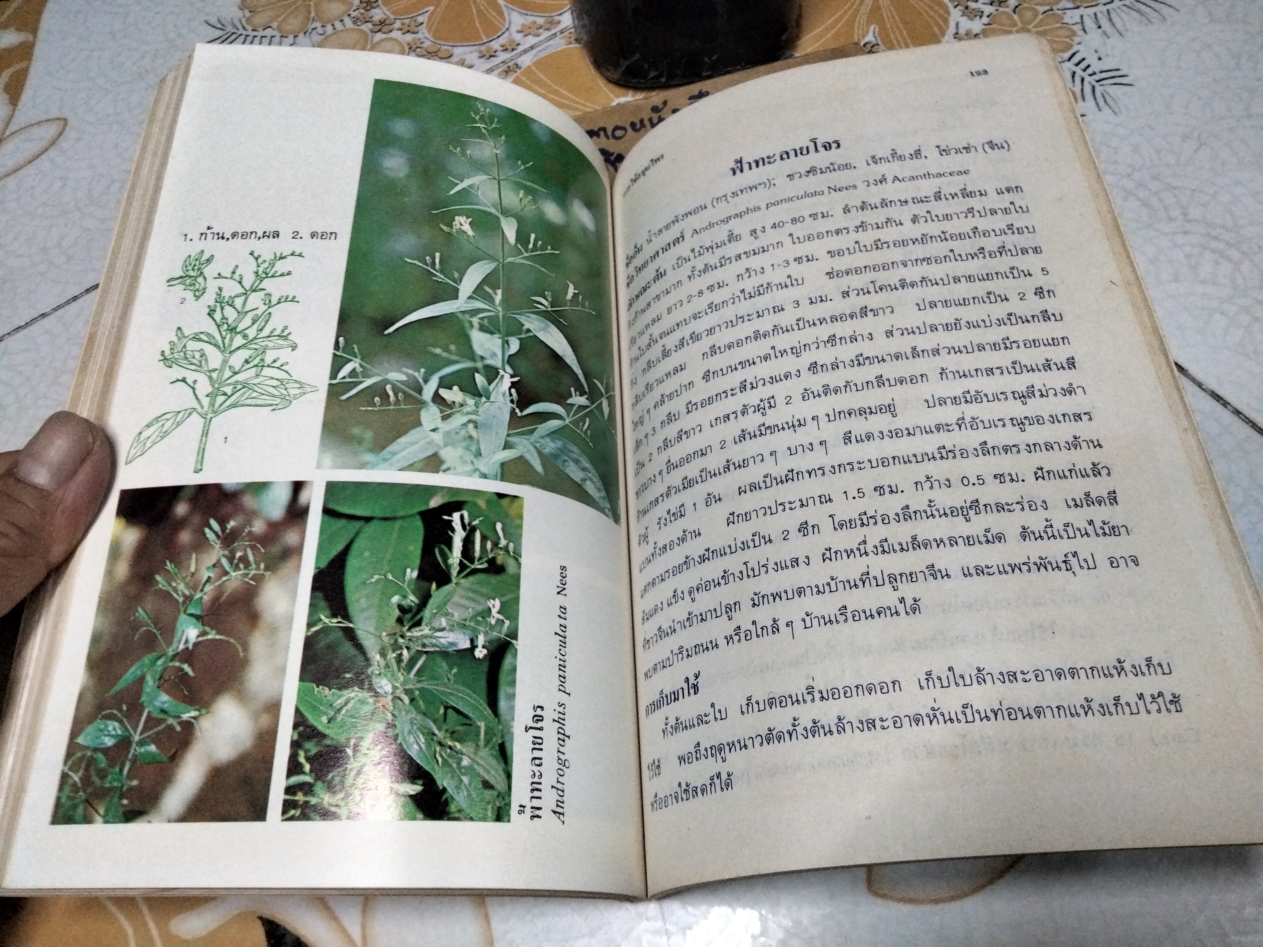 หนังสือ การใช้สมุนไพรเล่ม 1 โครงการพัฒนาเทคนิคการทำยาสมุนไพร ฉบับแก้ไข พ.ศ.2522