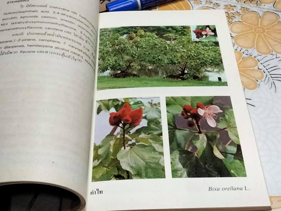 หนังสือ การใช้สมุนไพรเล่ม (1 + 2) โครงการพัฒนาเทคนิคการทำยาสมุนไพร **สินค้าหมด**