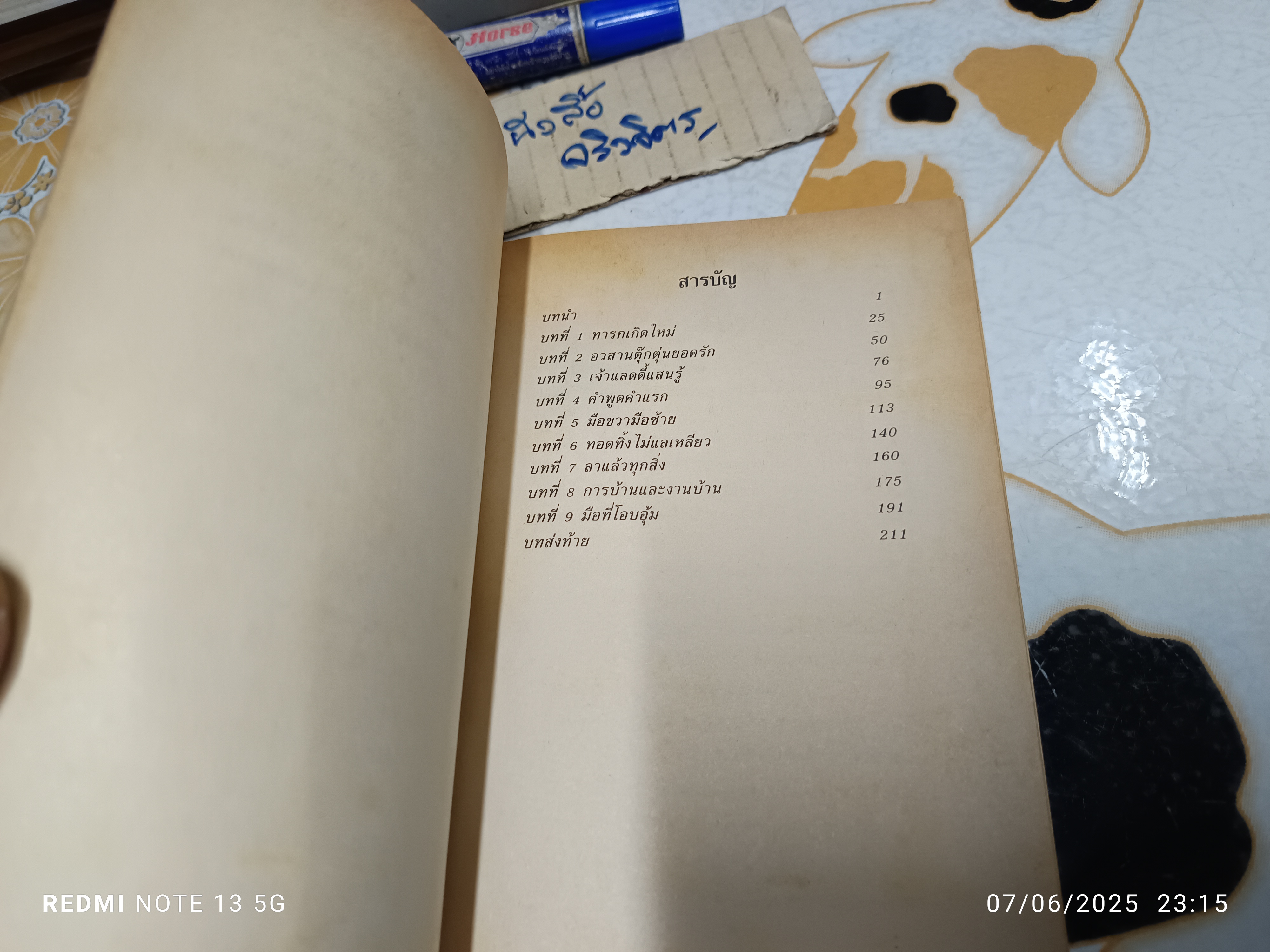 อันชนกชนนีนี้รักเจ้า (For the Love of Ann) ผู้เขียน: James Copeland (เจมส์ โคปแลนด์) ผู้แปล: อาจารย์หม่อมดุษฎี บริพัตร ณ อยุธยา