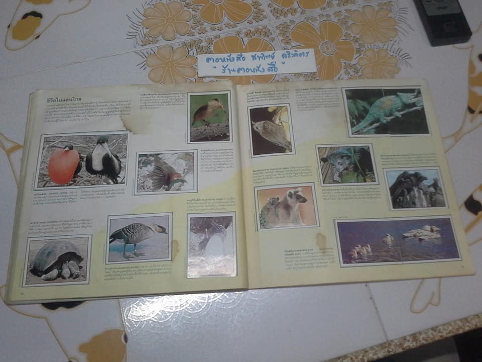 สมุดสะสมสติกเกอร์ ชีวิตสัตว์โลก - แปะครบ (ตัวเล่มมีคราบน้ำ มุมบนมีรอยยับ) **สินค้าหมด**