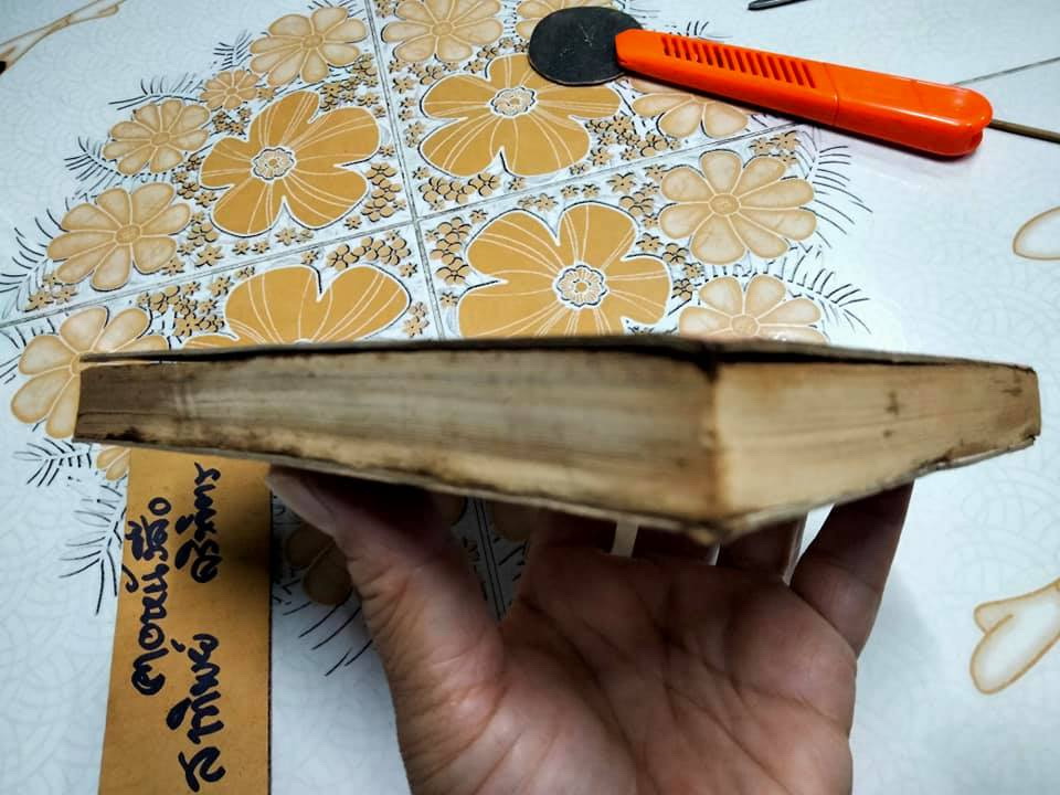 เหลือเพียงรอยอาลัย รวมเรื่องสั้นสุดที่รักของ ริโยโกะ อิเคดะ ชุดที่ 2 (หนังสือเช่า) **สินค้าหมด**