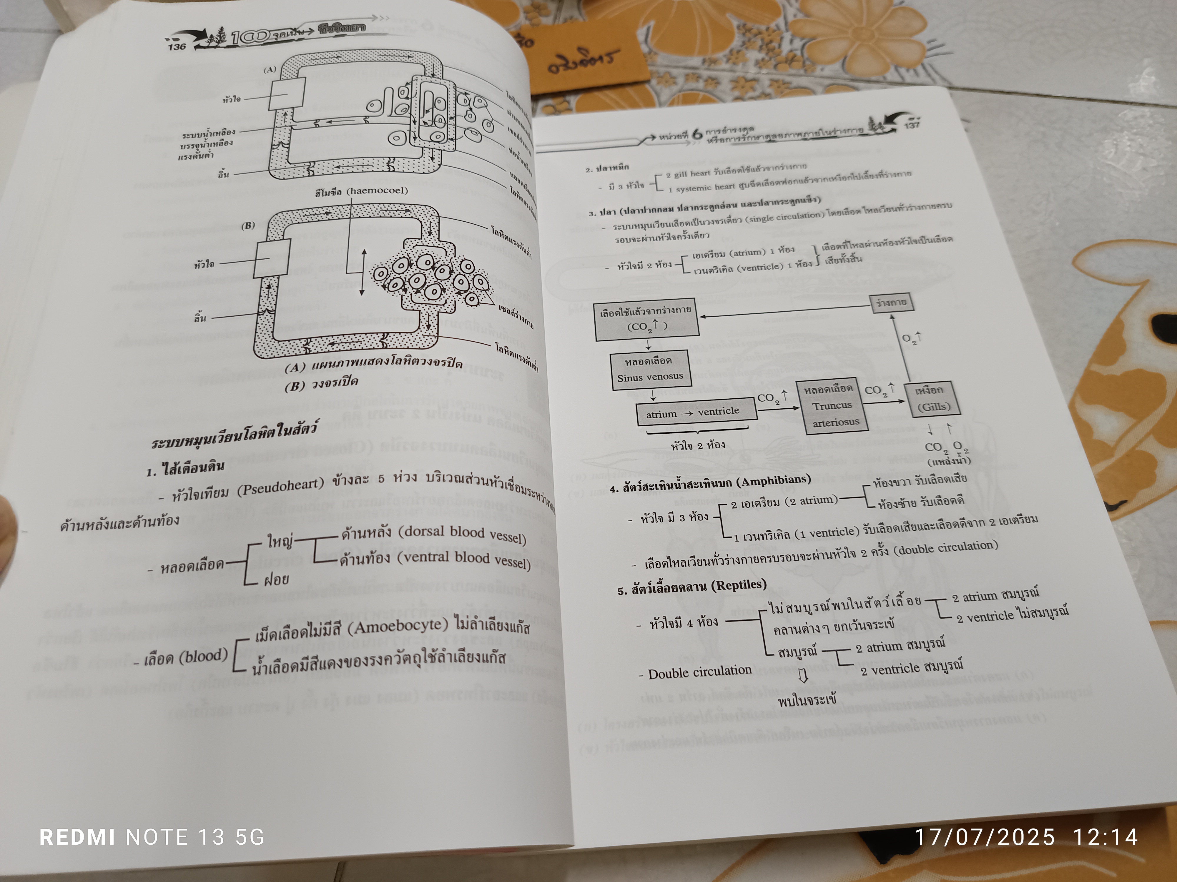 100 จุดเน้น ชีววิทยา ม.4-5-6 ดร.สมาน แก้วไวยุทธ สำนักพิมพ์ : บริษัท ไฮเอ็ดพับลิชชิ่ง