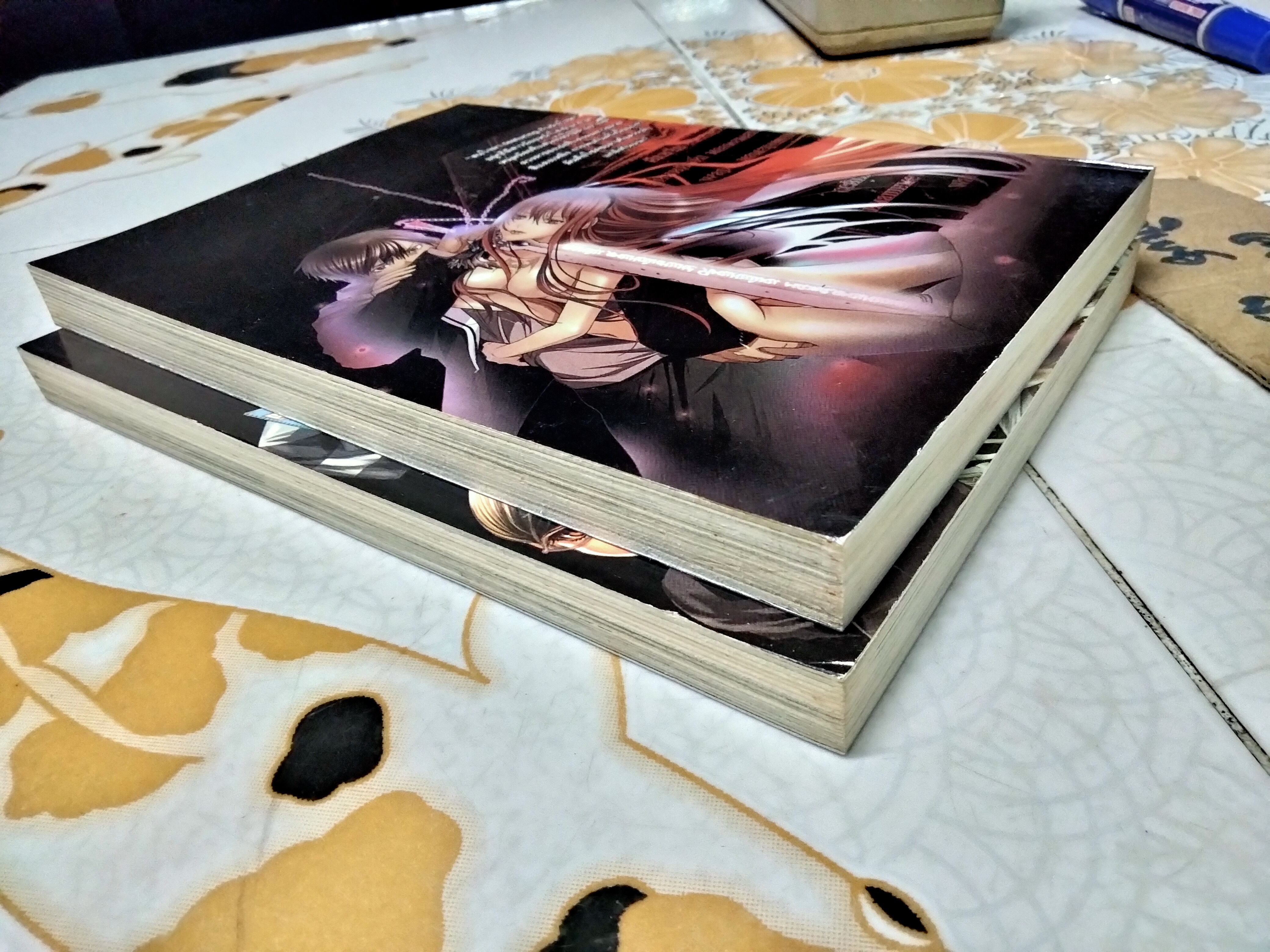 โฮลี่ ไน้ท์ Holy Knight (มีแค่เล่ม 1,2) การ์ตูน 18+