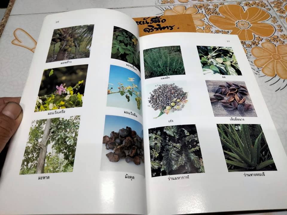 หนังสือ ยาสมุนไพร สำหรับงานสาธารณสุขมูลฐาน **สินค้าหมด**