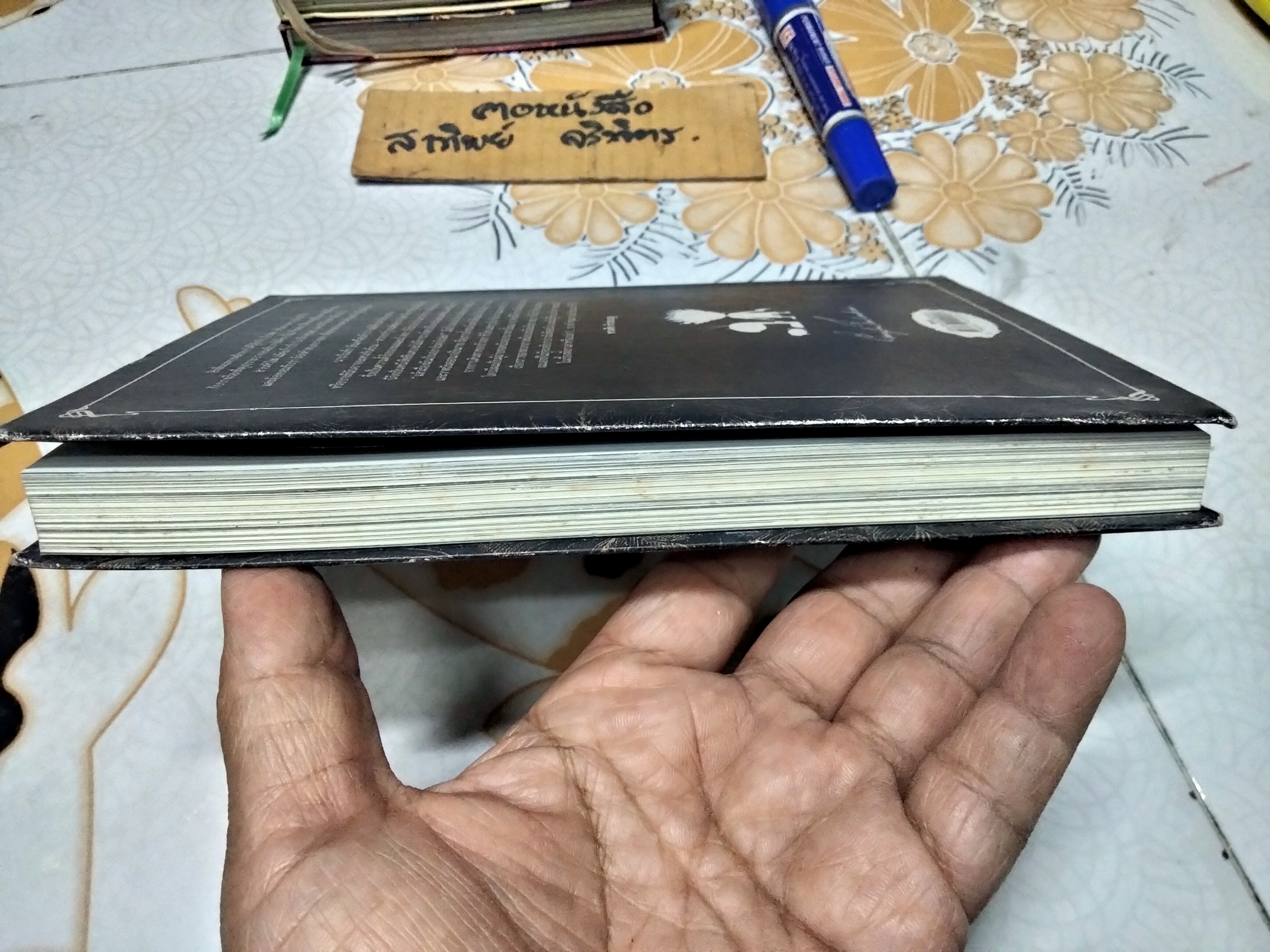 Beansprout & Firehead เล่ม I - In the Infinite Madness ในความบ้าคลั่งอันมิรู้สิ้นสุด