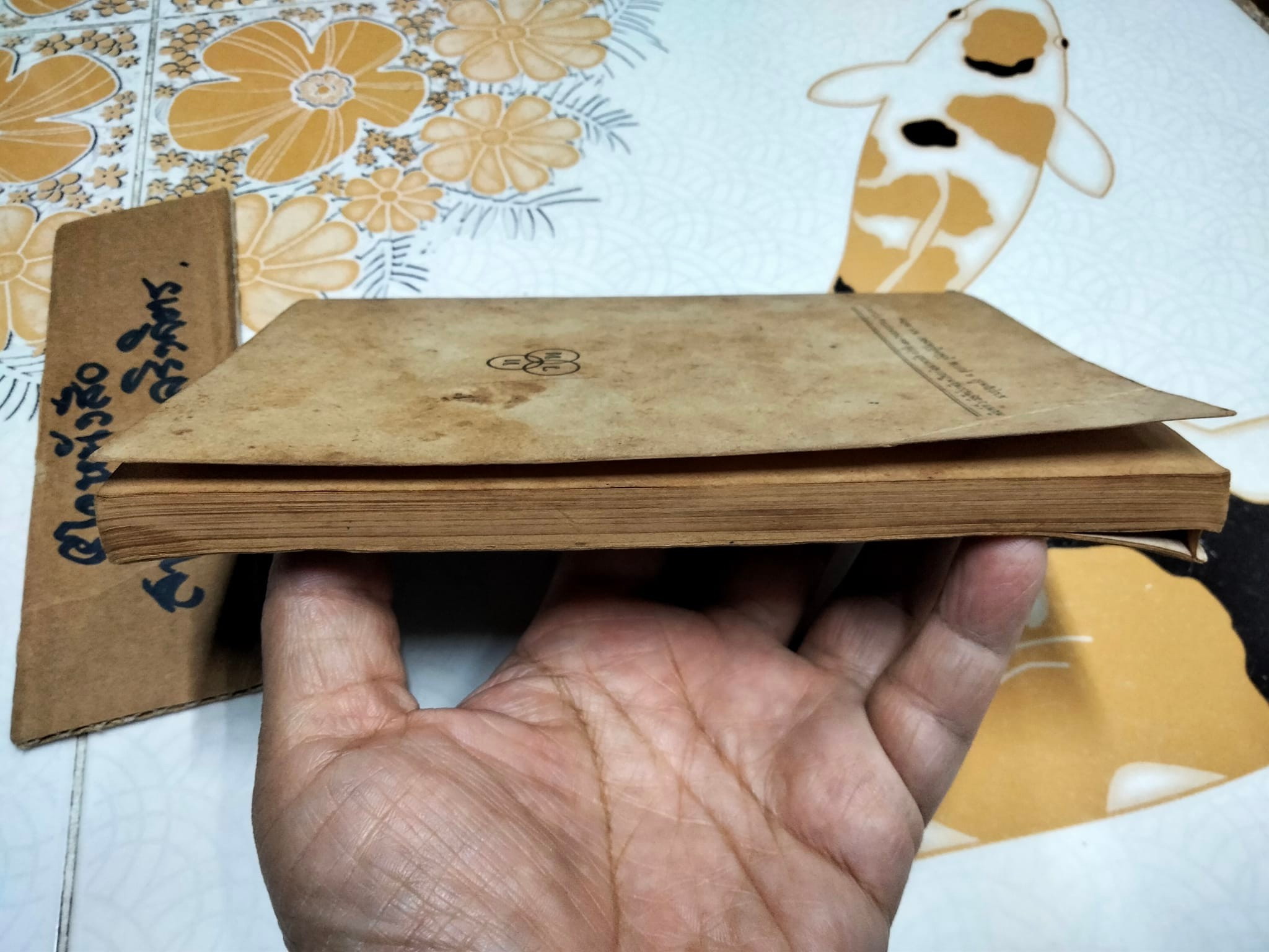 แมงมุมเพื่อนรัก แปลจาก Charlotte's Web ของ E.B. White (อี. บี. ไวท์) โดย มัลลิกา **สินค้าหมด**