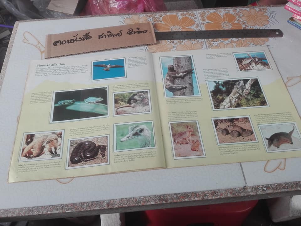 สมุดสะสมสติกเกอร์ ชีวิตสัตว์โลก (แปะครบ 240 รูป) ** สินค้าหมด**