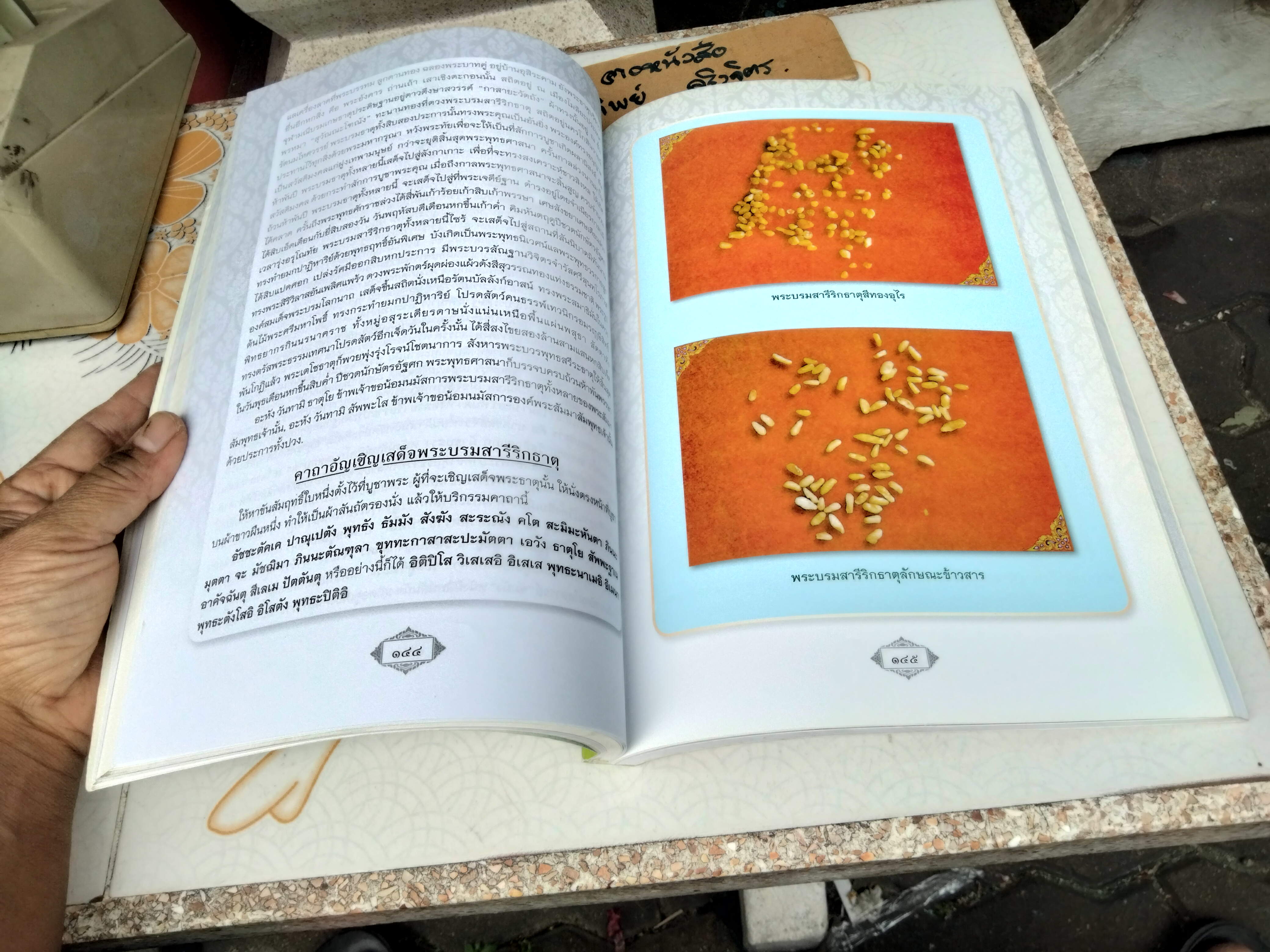 ตามรอยหลวงปู่ใหญ่ (ฉบับพิเศษ) เรียบเรียงโดย คุณชลธิชา ชาญวิชา ฉบับพิมพ์ปี พ.ศ.2553