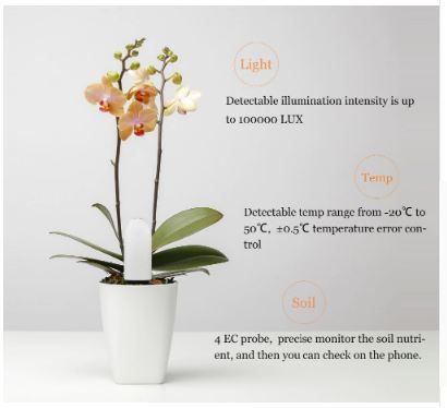 เซนเซอร์วัดค่าในดิน Xiao mi mi care plants Grass Flower Flora Digital Monitor