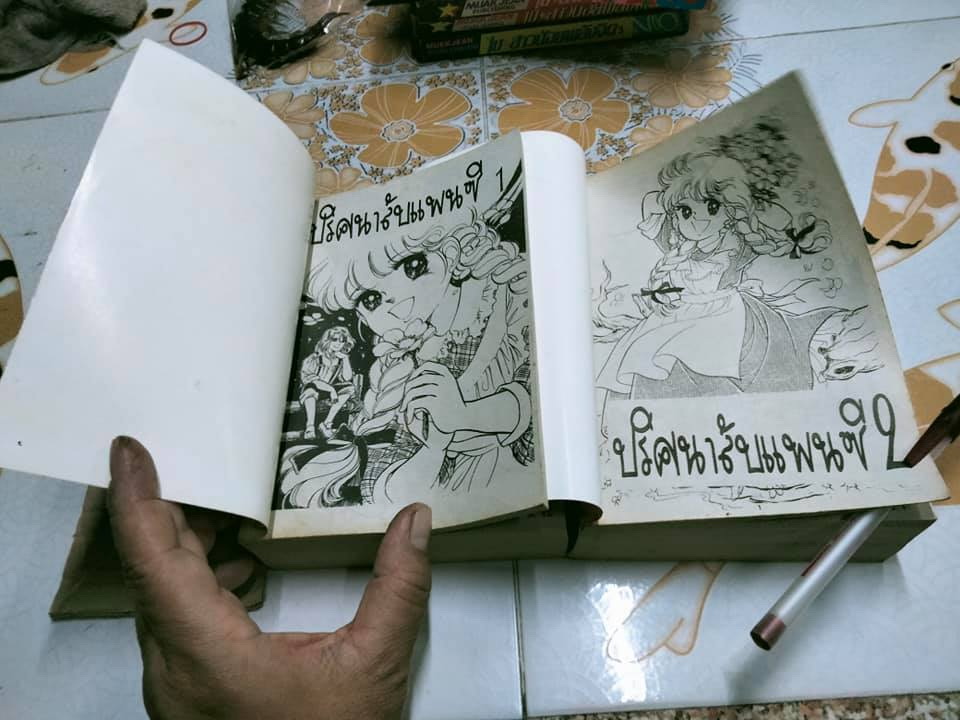 ปริศนาลับแพนซี (2 เล่มจบ) ผลงาน Okamura Mariko **สินค้าหมด**