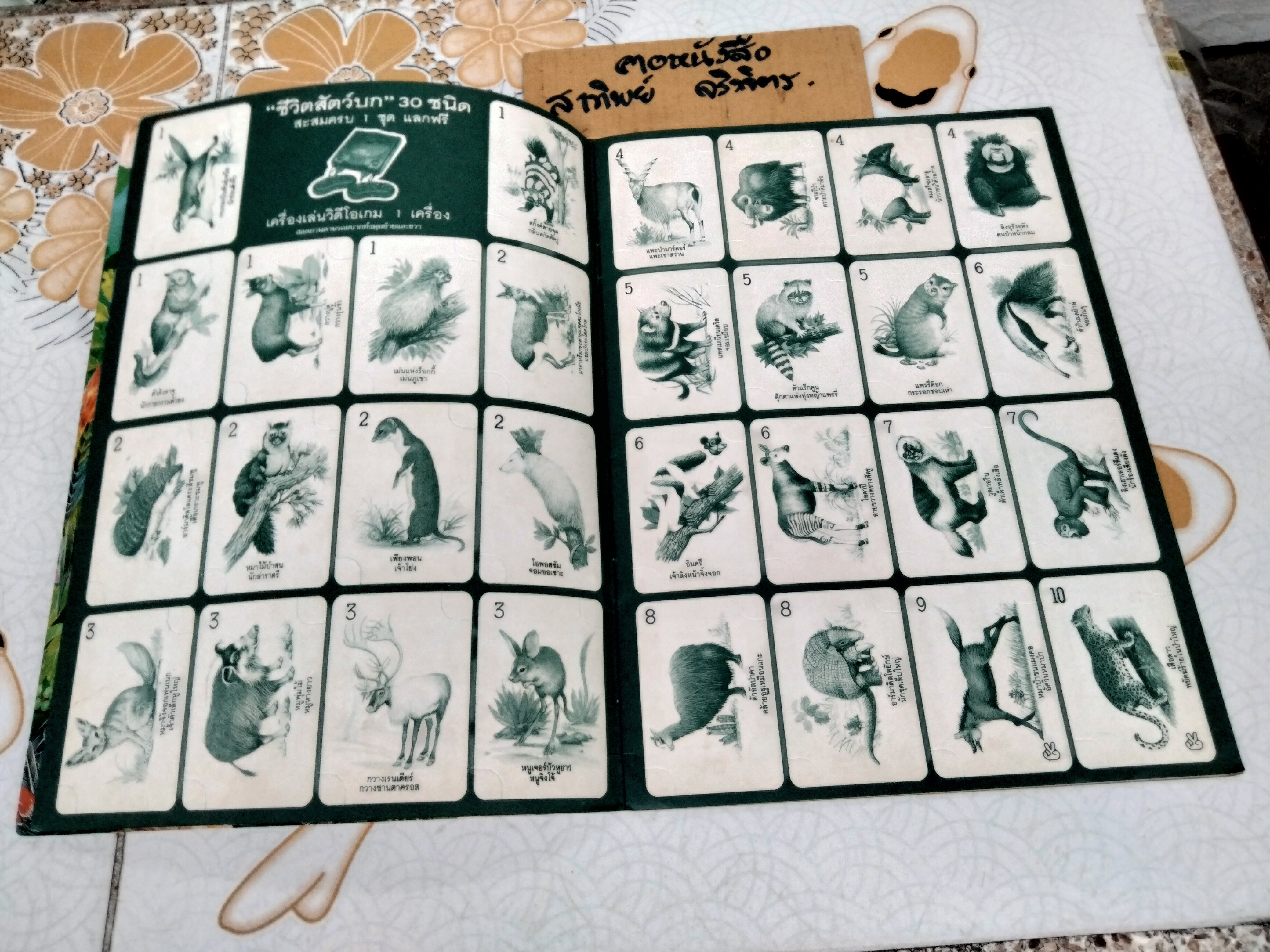 สมุดสะสมภาพ - สัตว์โลกแสนรัก (สมุดเปล่า) **สินค้าหมด**