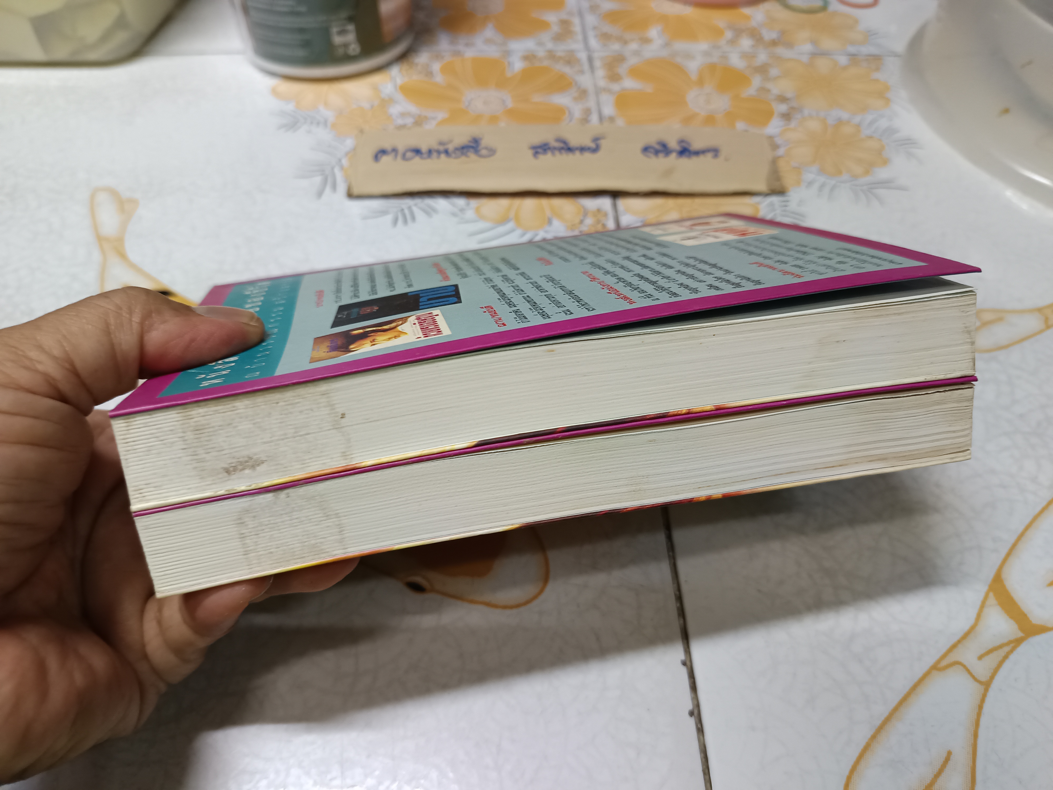 รักในสายหมอก (2 เล่มจบ) โสภาค สุวรรณ