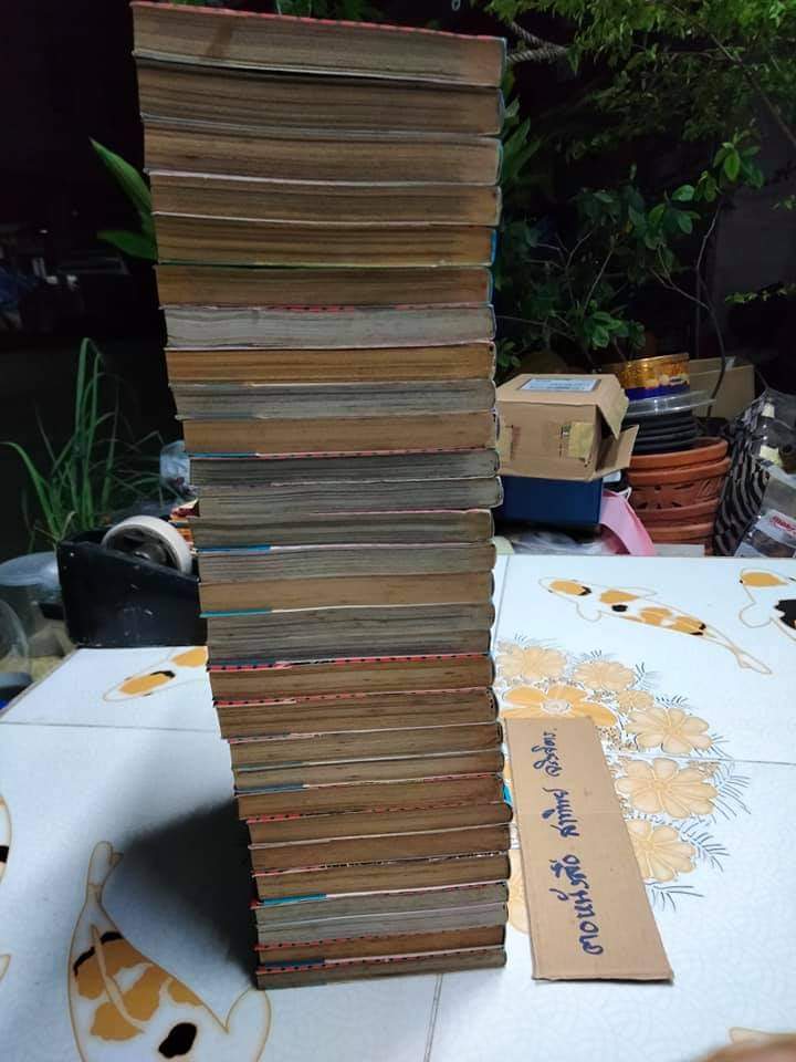 WORST เวอร์ส มีแค่ 1-29 ( ชุดเต็มมี 33 เล่มจบ) หนังสือบ้าน มีตำหนิบ้าง