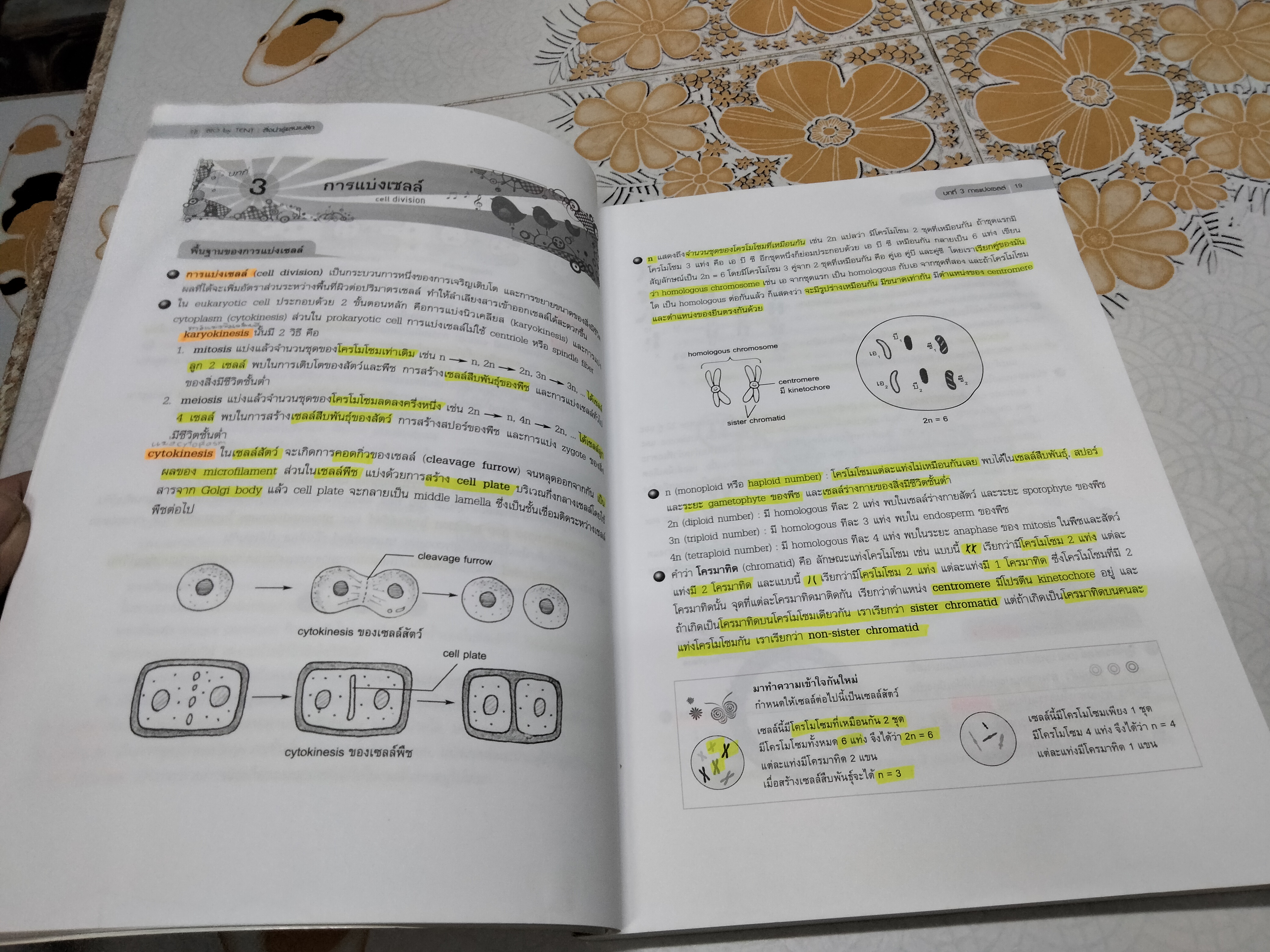 หนังสือชีววิทยา (ปกเต่าทอง) เล่มสีเลือดหมู โดย จิรัสย์ เจนพาณิชย์ **สินค้าหมด**