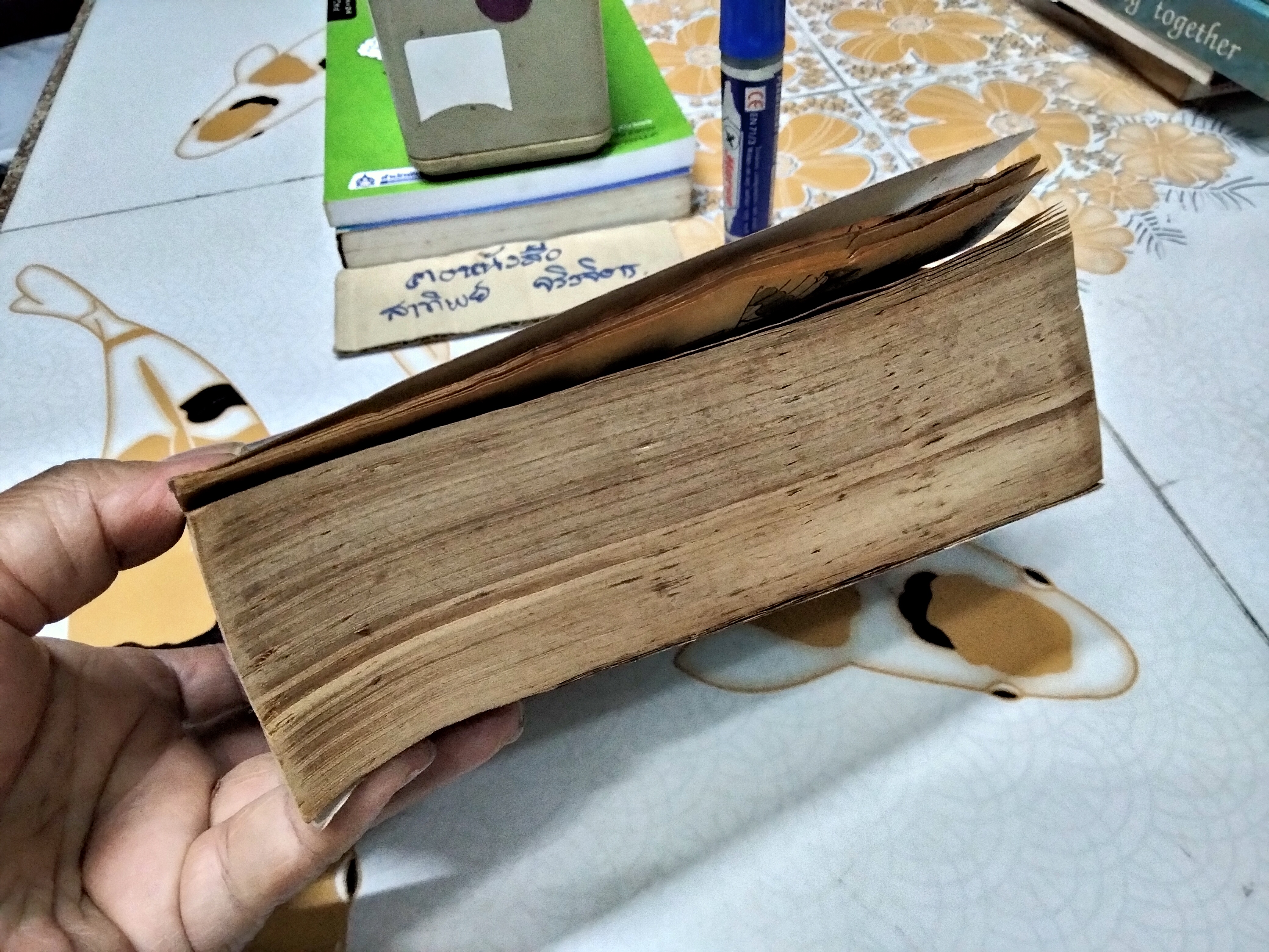 ซีโร่ไบเบิ้ล (เล่มเดียวจบ) by SHIMOSAKA Tamotsu **สินค้าหมด**