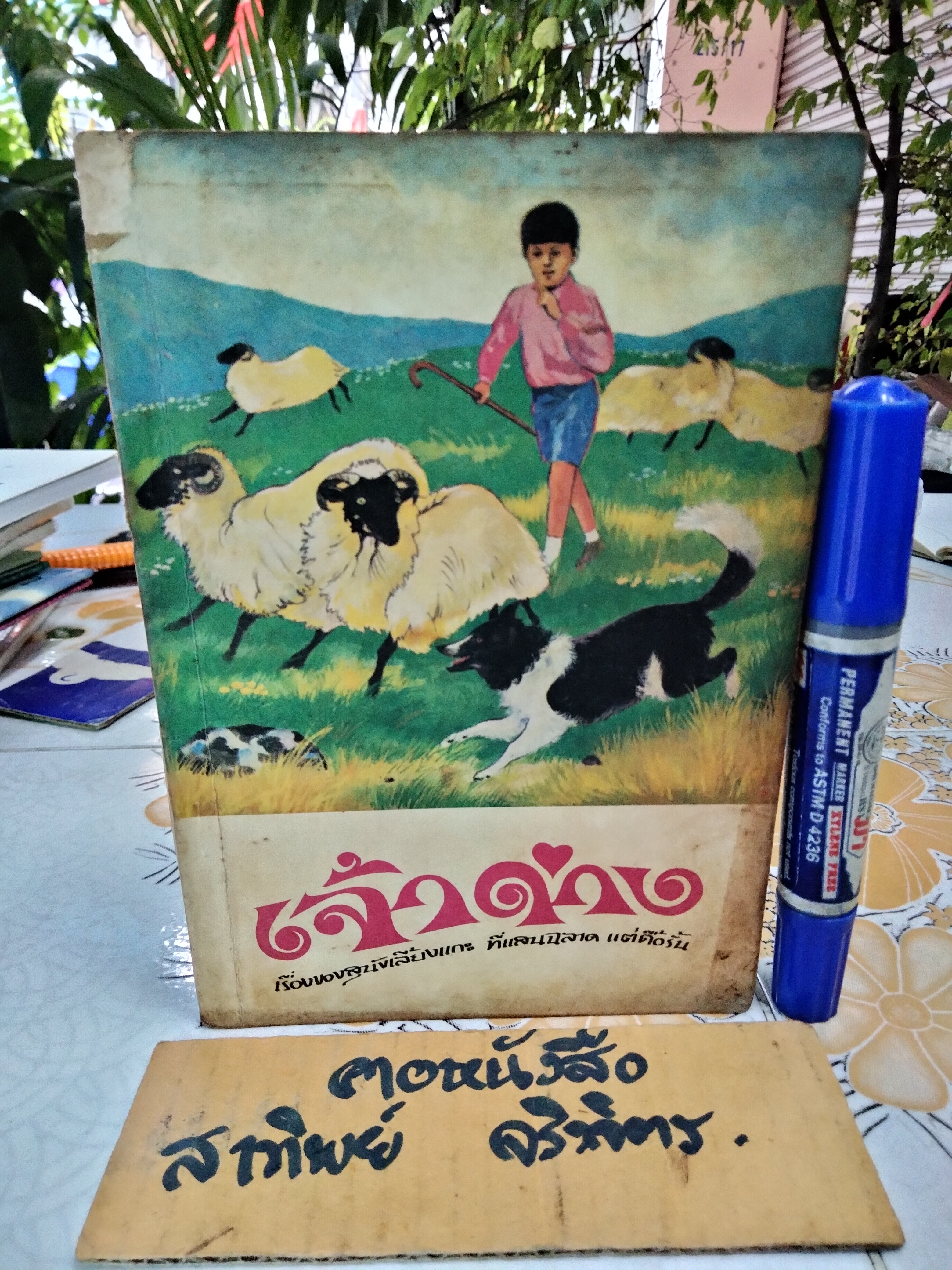 เจ้าด่าง - หนังสืออ่านสำหรับเยาวชนตามโครงการหนังสือเด็กของกองบรรณาธิการชัยพฤกษ์ ชุดที่ 6 อันดับ 1 พ.ศ 2520