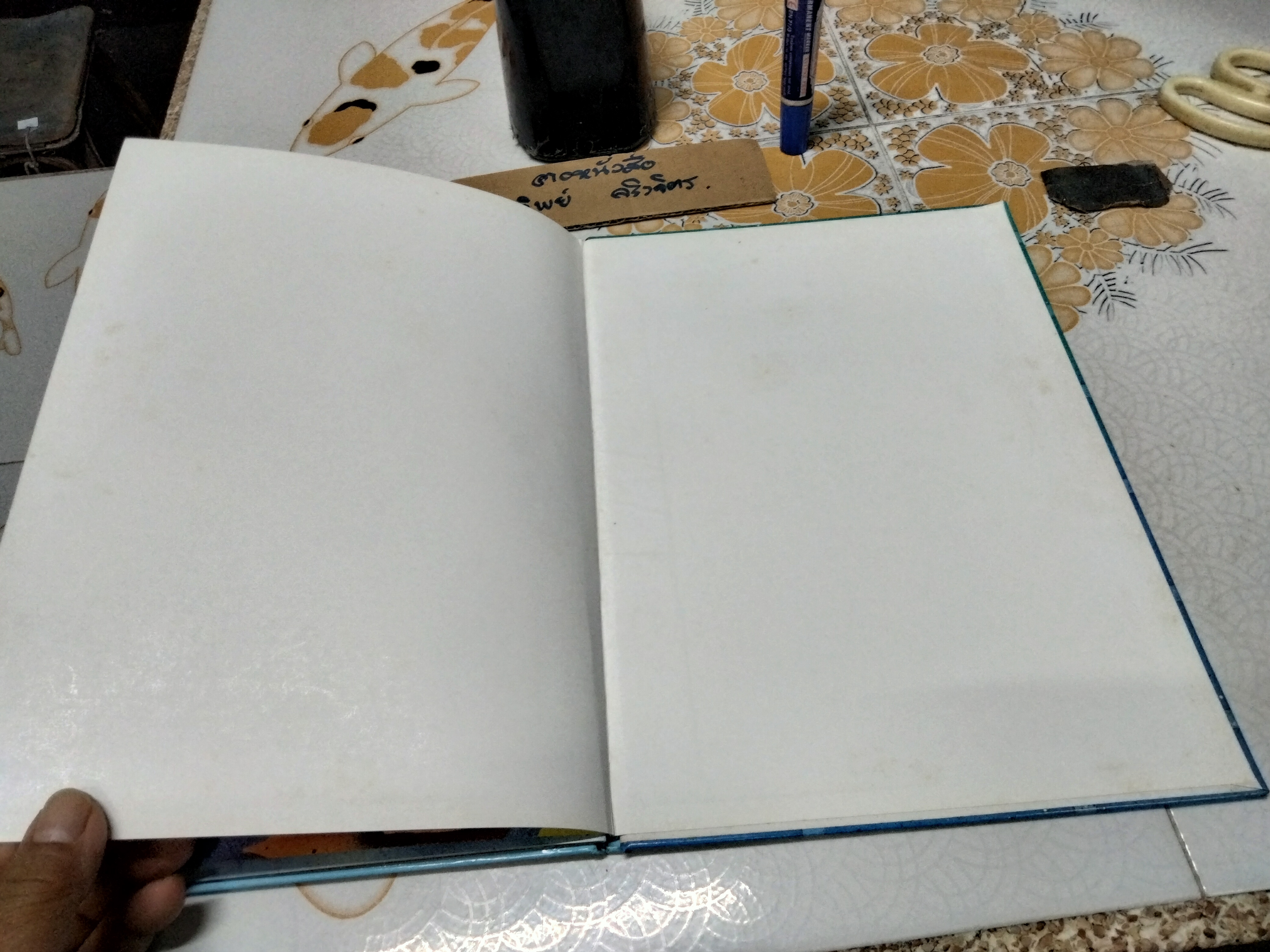 ฟ้ากว้างเท่าปากบ่อ - มาลา คำจันทร์ เขียนเรื่อง, วราพงษ์ พงศ์เจตน์พงศ์ เขียนภาพ **สินค้าหมด**