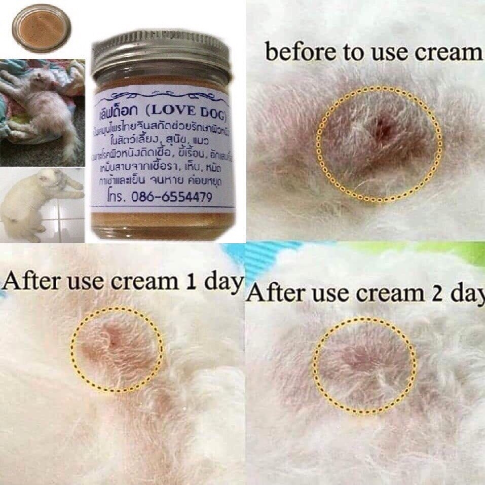 Love Dog ครีมสมุนไพรรักษาและโรคผิวหนังและบำรุงผิวหนังสำหรับสัตว์เลี้ยง เช่น สุนัข แมว หนู นก กระต่าย ขนาด 50g