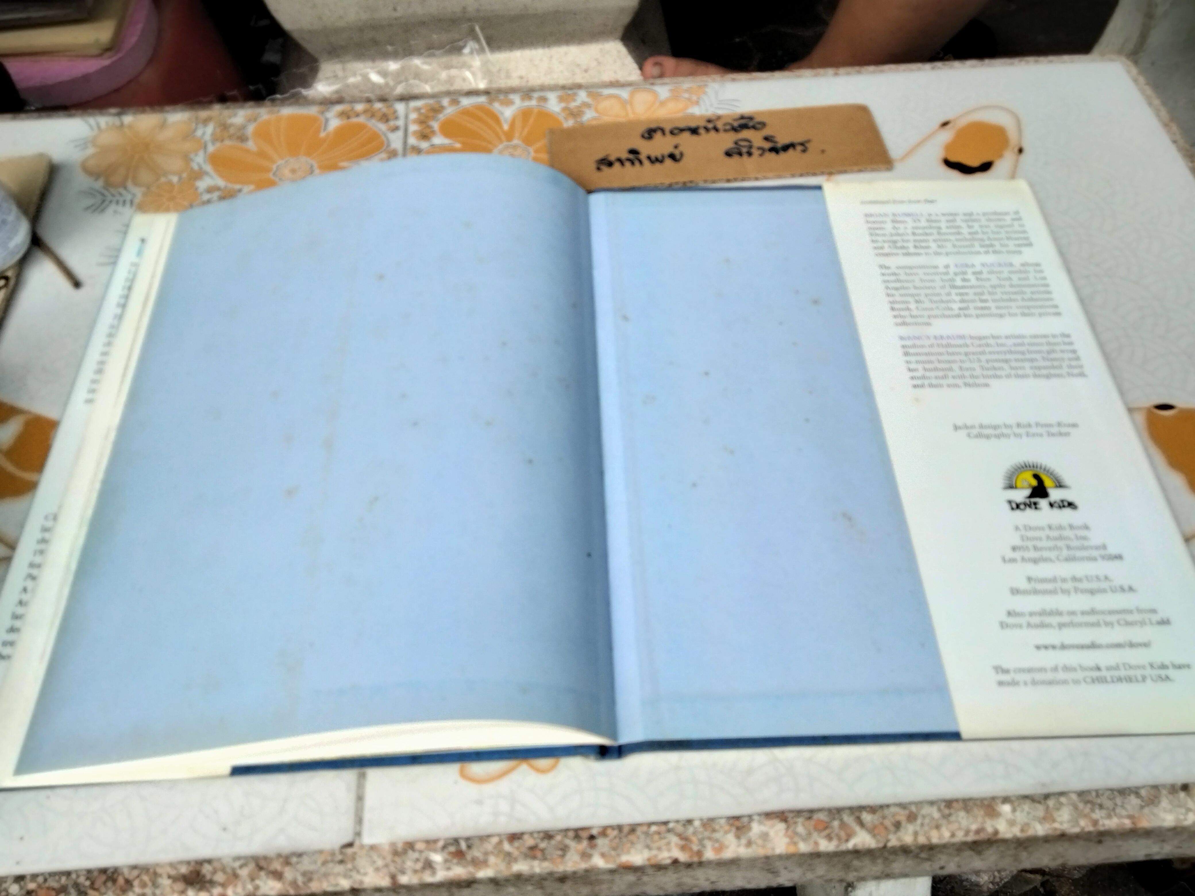 The Adventures of Little Nettie Windship by Cheryl Ladd (ปกแข็ง)