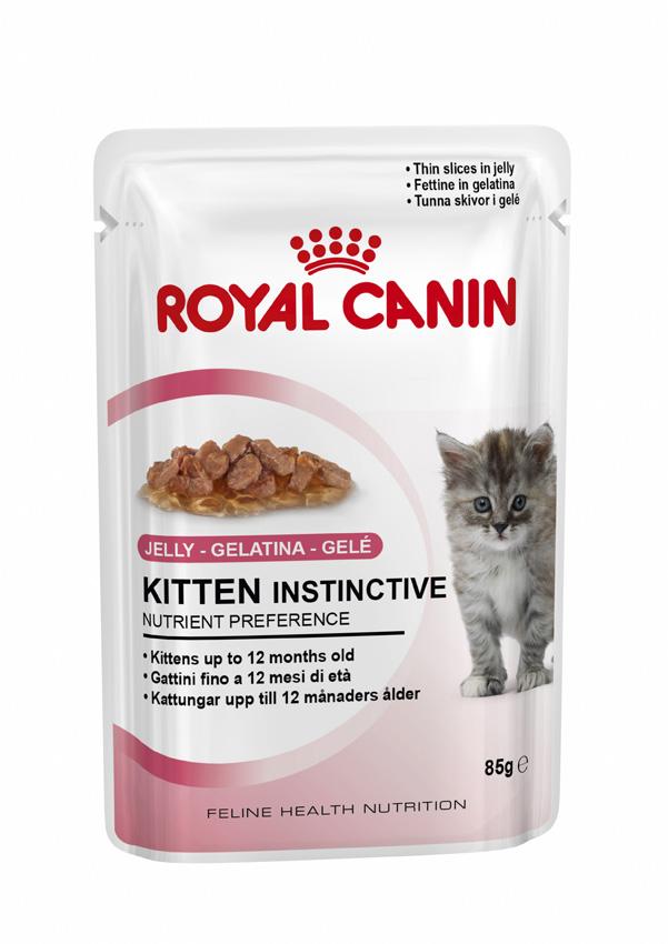 Royal Canin เปียกซอง Kitten Jelly