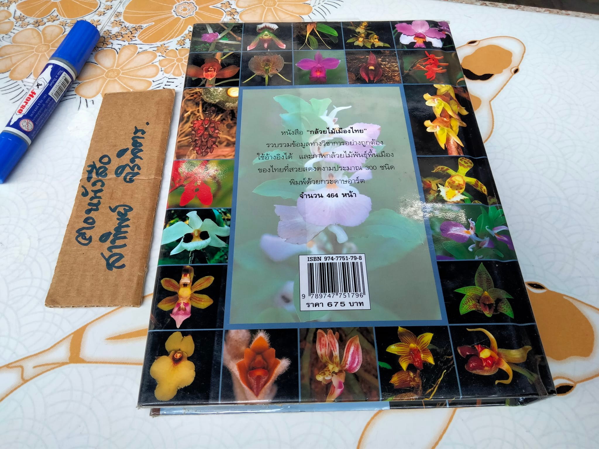 กล้วยไม้เมืองไทย - รศ. ดร.อบฉันท์ ไทยทอง **สินค้าหมด**