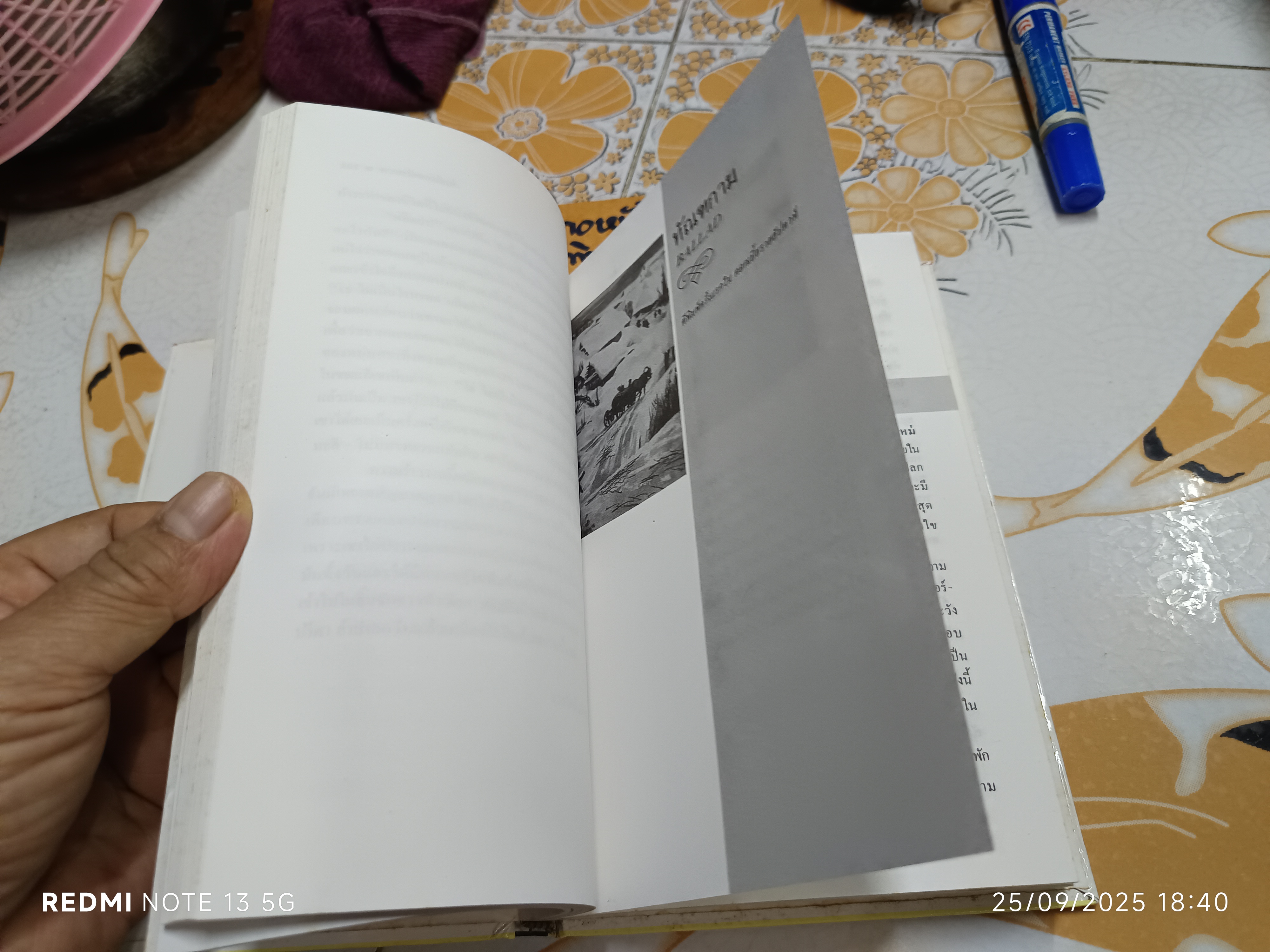 ความรักของมิตย่า Mitya's Love อีวาน บูนิน IVAN BUNIN เขียน ศ.ศุภศิลป์ แปล พิมพ์ครั้งแรกพ.ศ 2536 สำนักพิมพ์สมิต