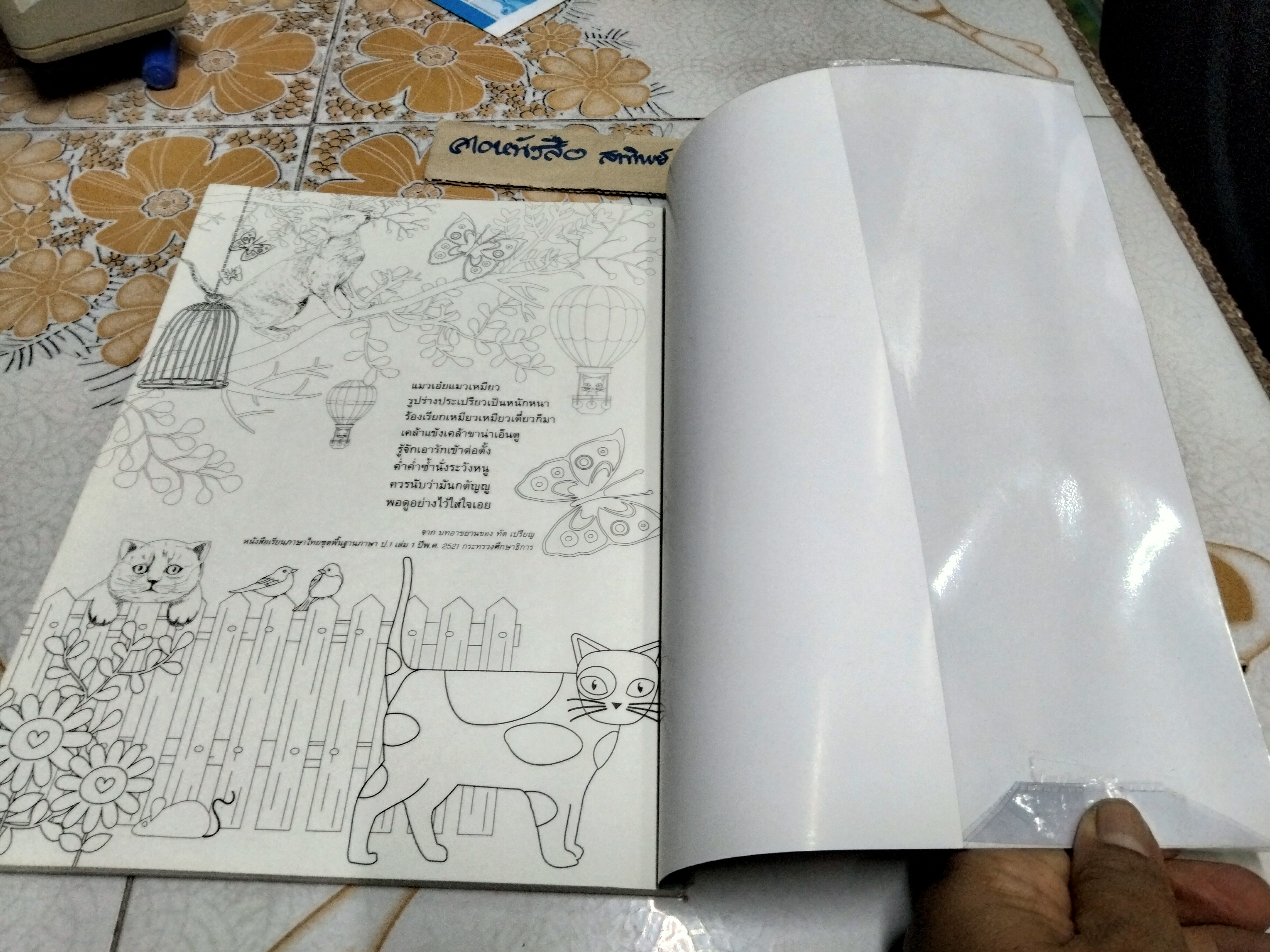 แมวไทย Siamese Cat สุดสวาทขาดใจของบ่าว / หนังสือระบายสีสำหรับผู้ใหญ่ ศิลปะเพื่อการผ่อนคลาย