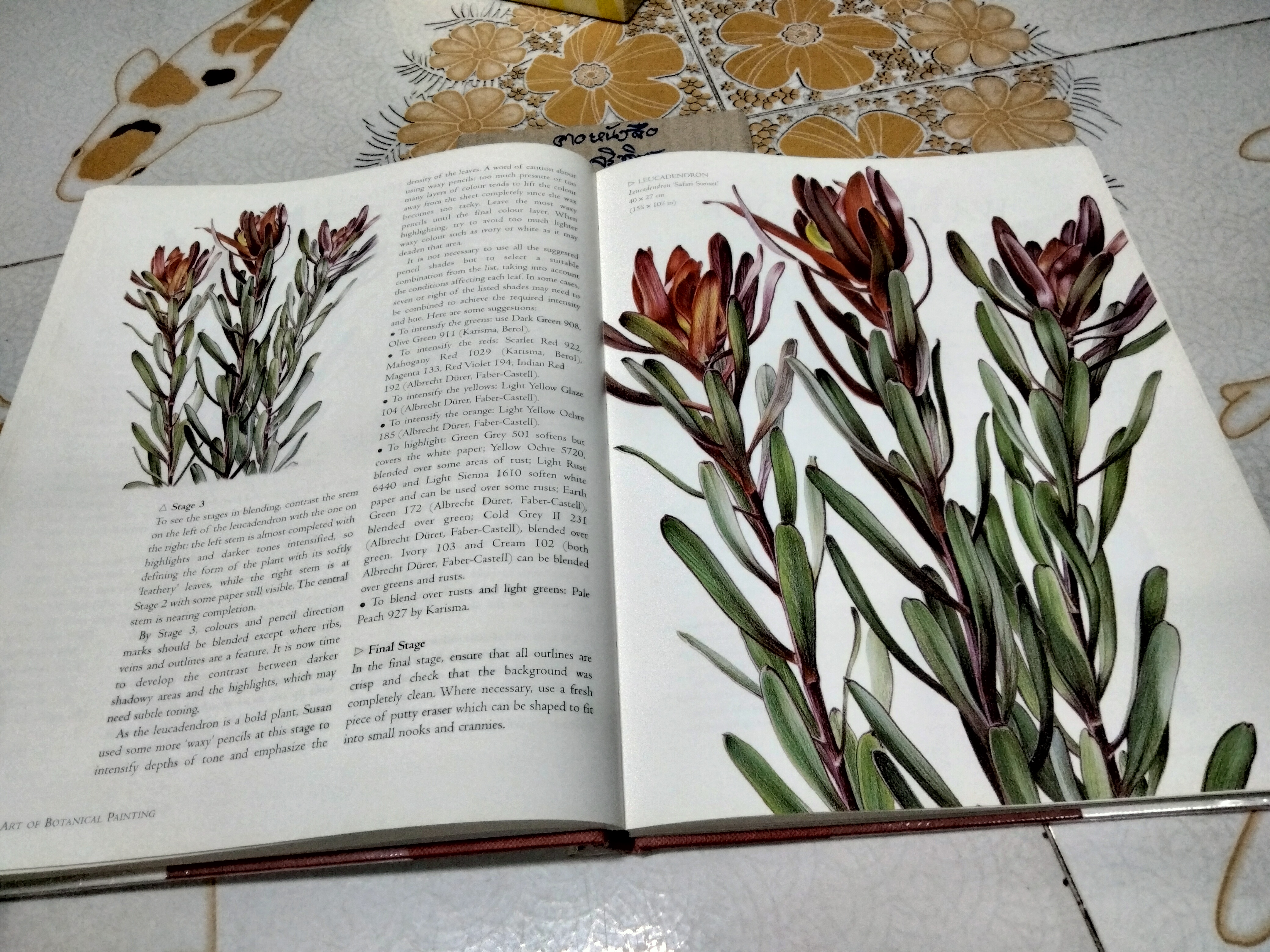 THE ART OF BOTANICAL PAINTING (ปกแข็ง) MARGARET STEVENS ศิลปะการวาดภาพประกอบพฤกษศาสตร์ **สินค้าหมด**