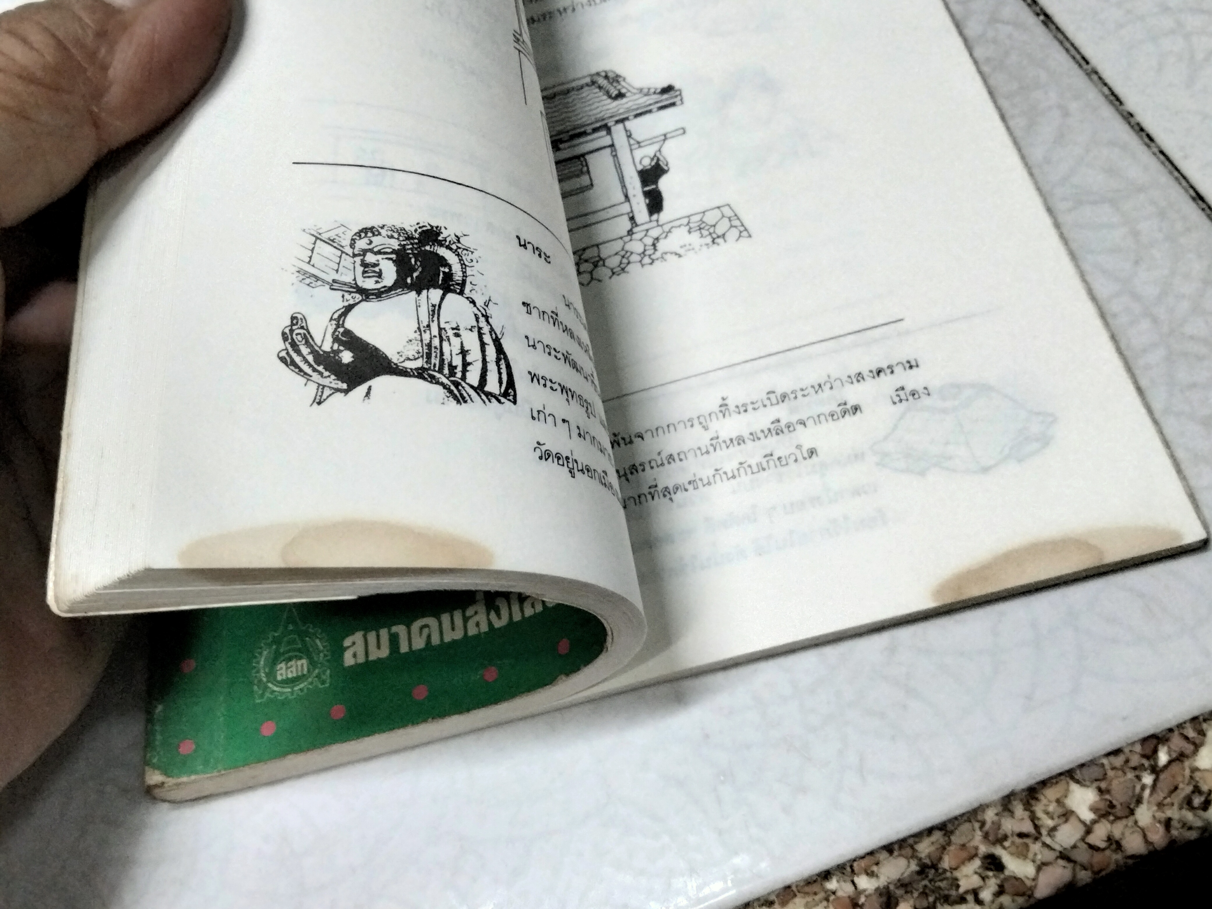 ประตูสู่ญี่ปุ่น - ชีวิตแบบญี่ปุ่น Japanese Life เขียนโดย Gen Itasaka แปลโดย ผศ.สุนันทา เหล่าจัน , สุภัฒ สงวนดีกุล