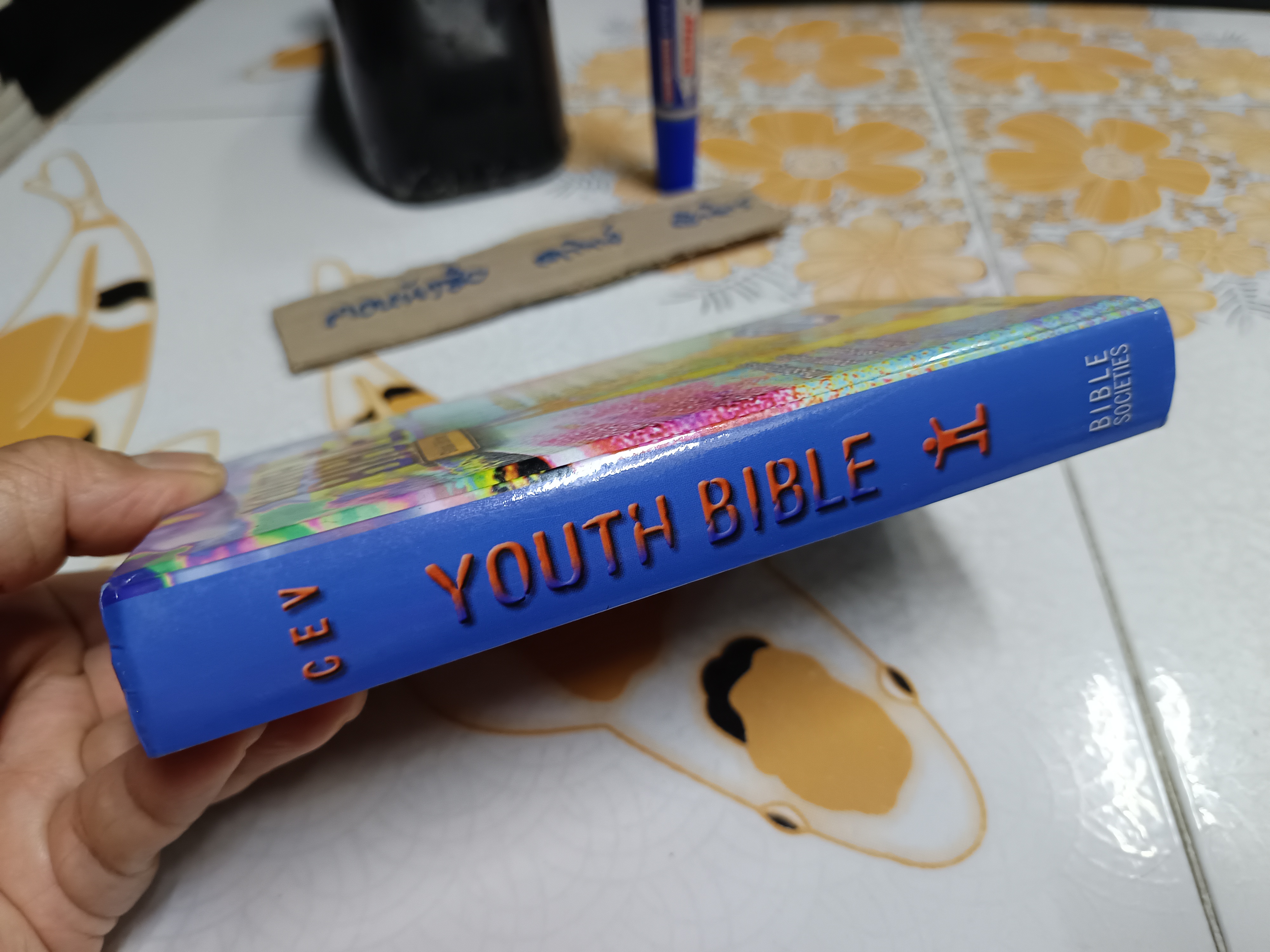 Youth Bible (Global Edition) (CEV) **สินค้าหมด**