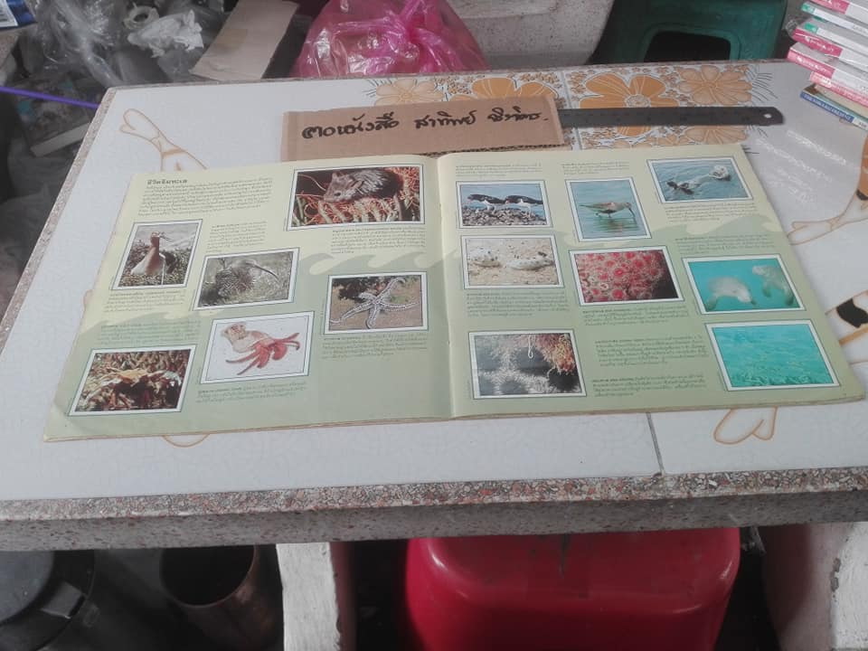สมุดสะสมสติกเกอร์ ชีวิตสัตว์โลก (แปะครบ 240 รูป) ** สินค้าหมด**