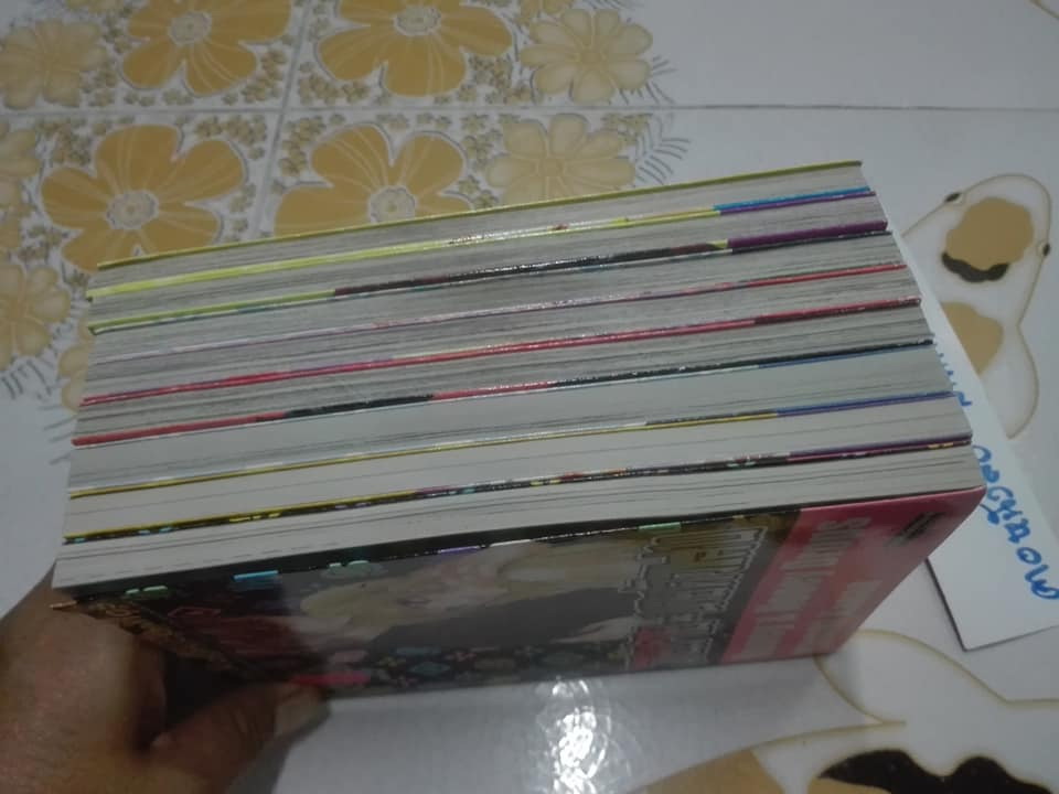 วายร้าย นายตัวแสบ (8 เล่มจบ) ผลงาน MINAMI Kanan