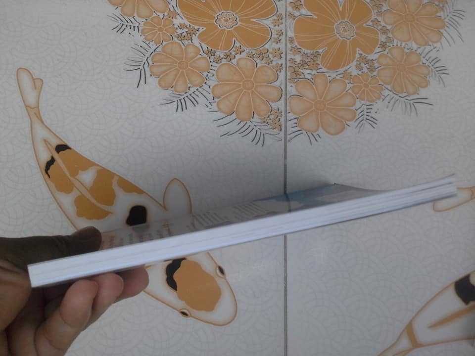 คนกล้าสร้างได้ - โมเดลบ้านสามหลัง - ศ.ดร.เกรียงศักดิ์ เจริญวงศ์ศักดิ์ **สินค้าหมด**