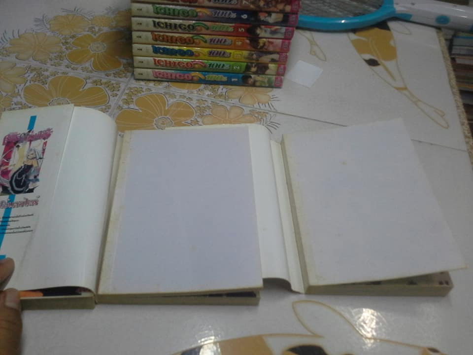 การ์ตูน ICHIGO 100 % - 19 เล่มจบ (สนพ.ANT)