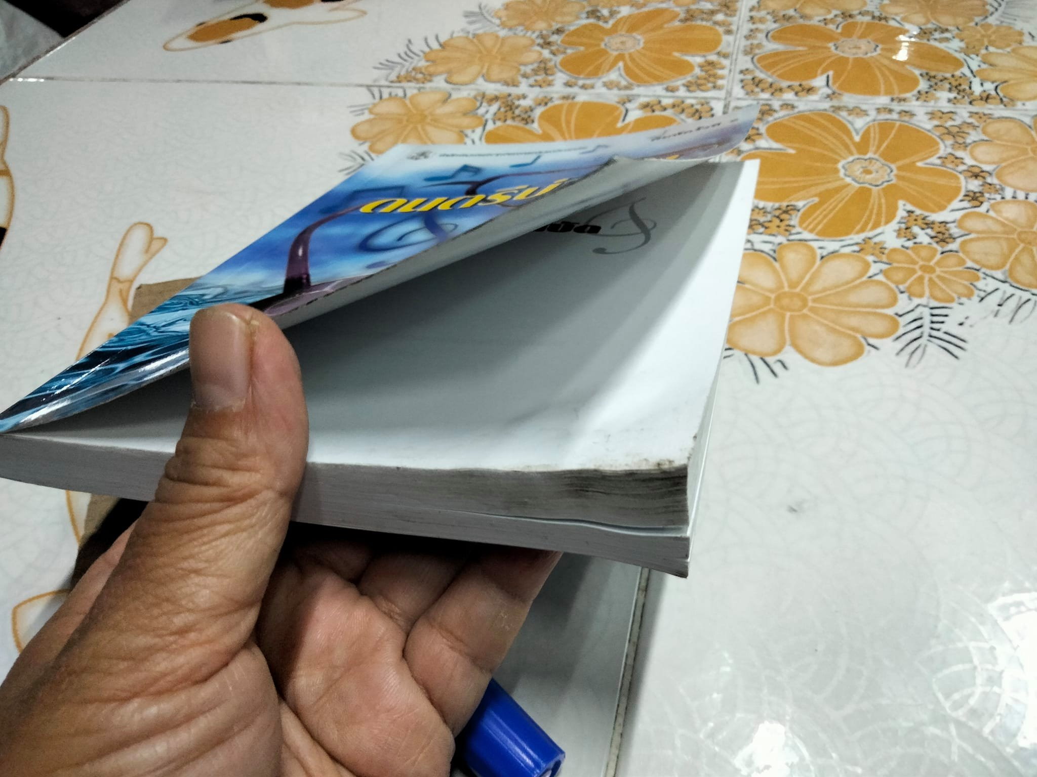 ดนตรีบำบัด - บุษกร บิณฑสันต์ - มีตำหนิ มีรอยเปื้อนด้านล่าง (ตามรูป) **สินค้าหมด**