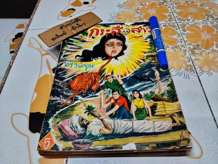 นิยายภาพ กระสือสาว เล่ม 1-8 (ยกชุด) (ชุดนี้มี 9 เล่มจบ) เรื่องและภาพโดย ทวี วิษณุกร **สินค้าหมด**