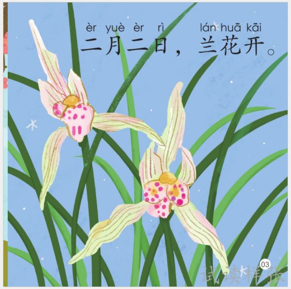 หนังสืออ่านนอกเวลาภาษาจีนสำหรับเด็กอนุบาล SmartCat-Graded Chinese Readers ระดับ 5 (10 เล่ม/ชุด) 轻松猫——中文分级读物（幼儿版）第五级 SmartCat-Graded Chinese Readers